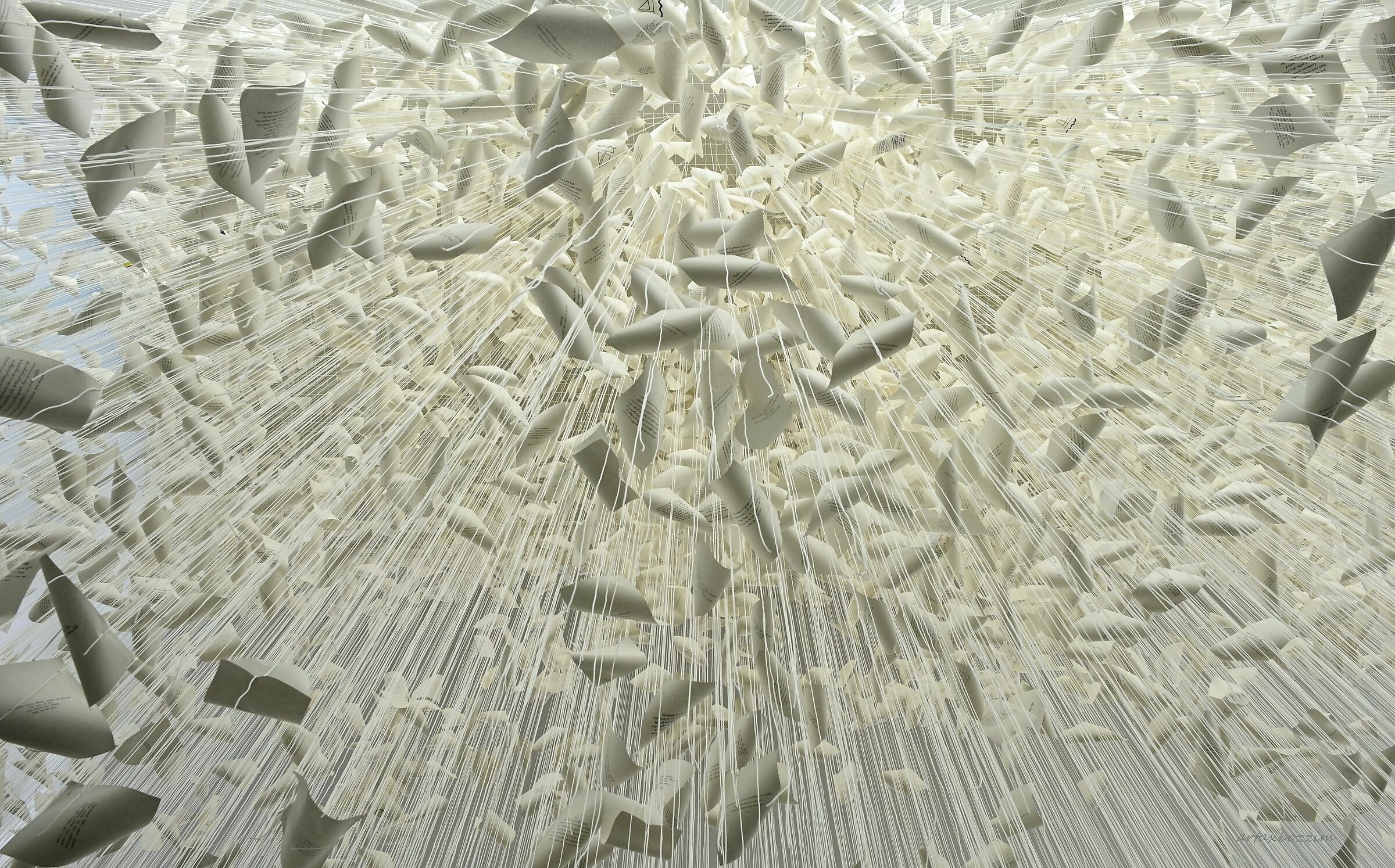 Darekaga maigo ni natta