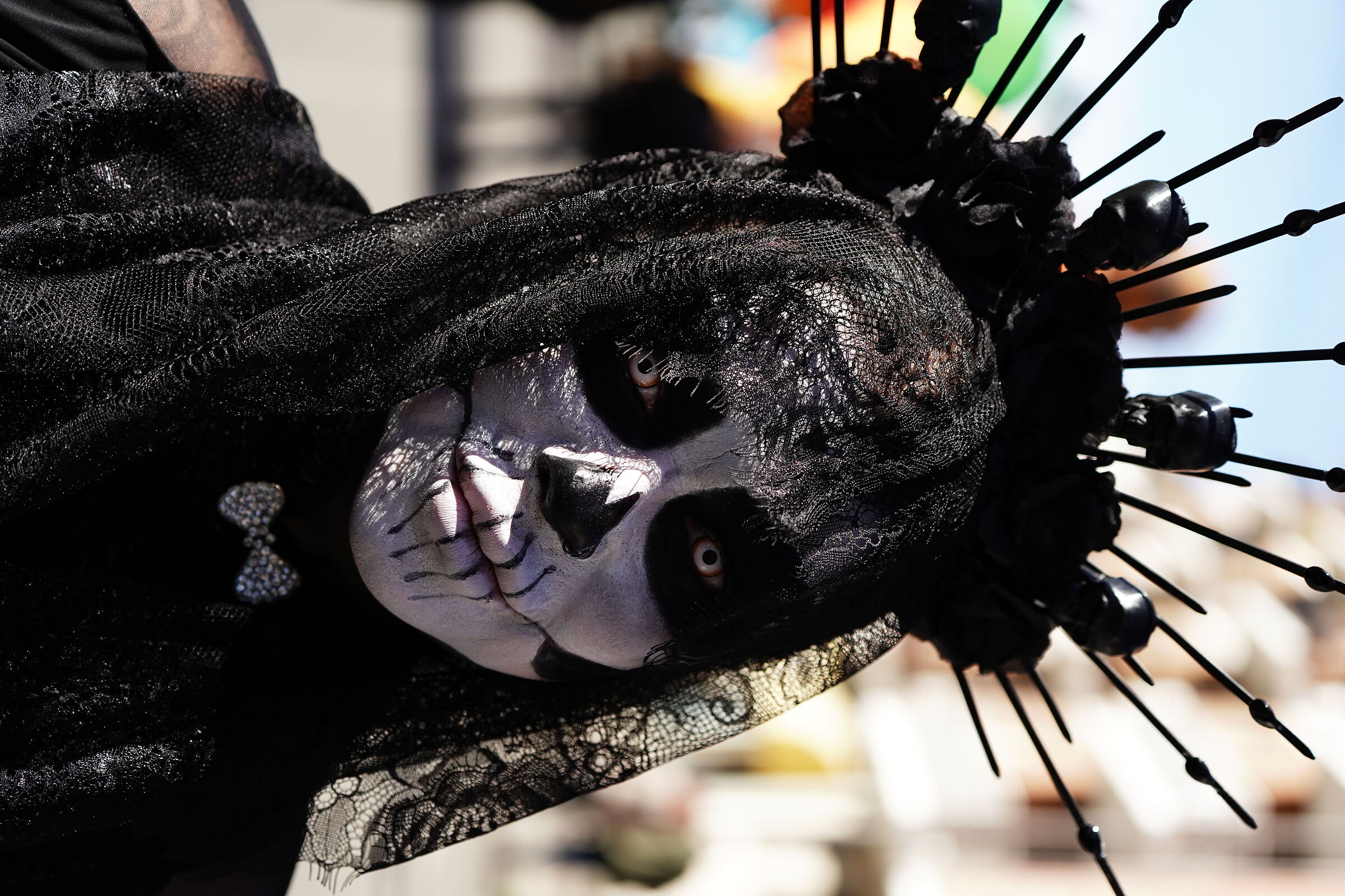 Carnival Joy and Reassurance 2