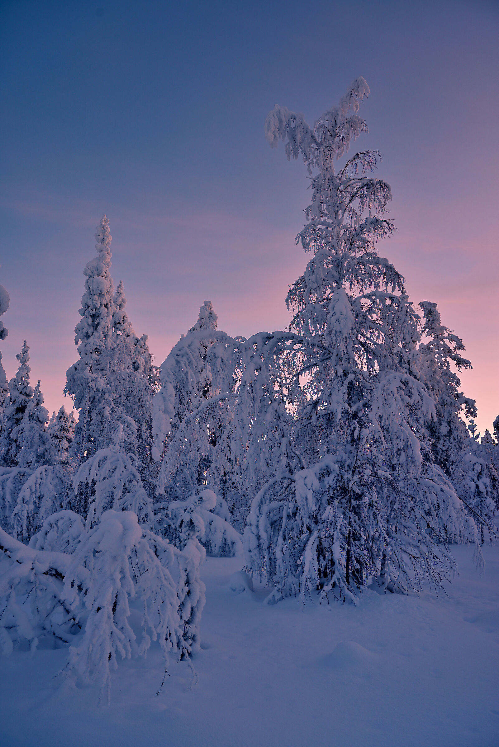 Keimiöniemi
