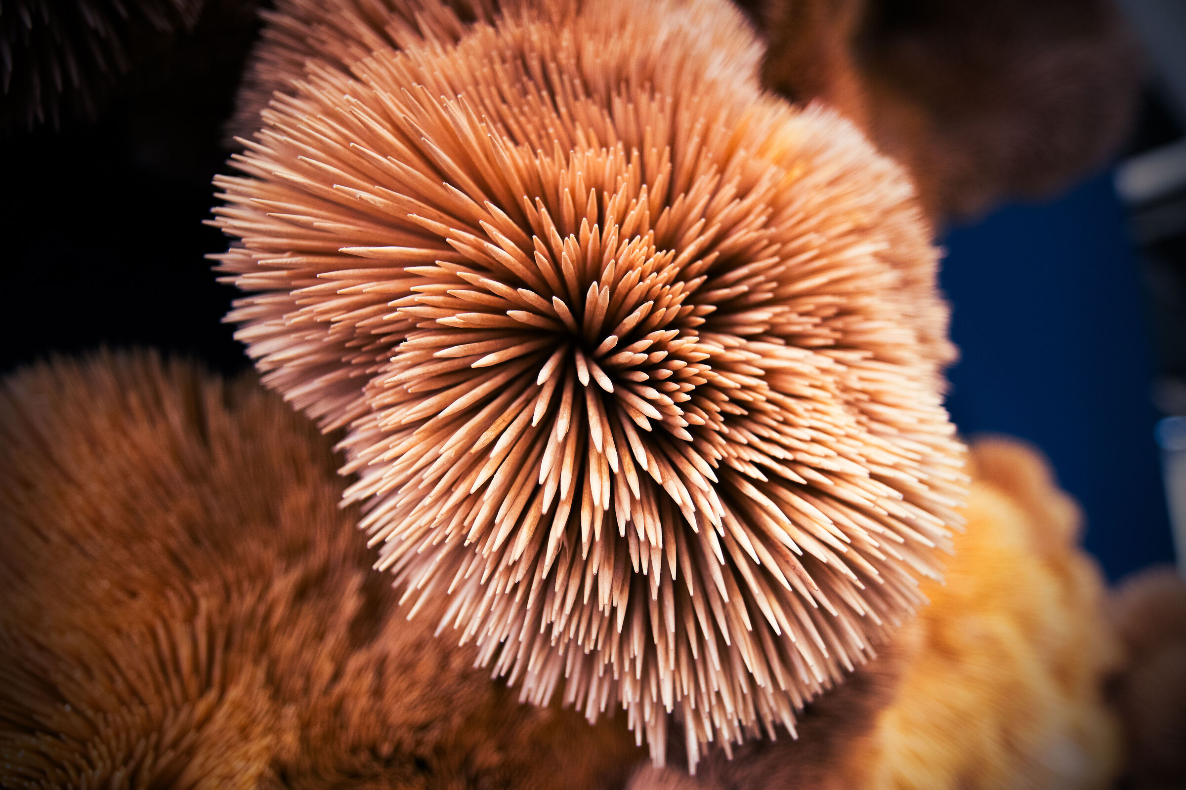 Spore Plasticose