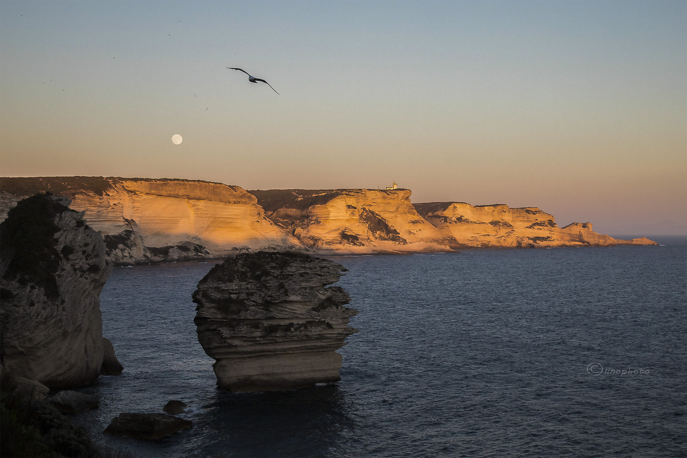 Le falesie di Bonifacio - Corsica