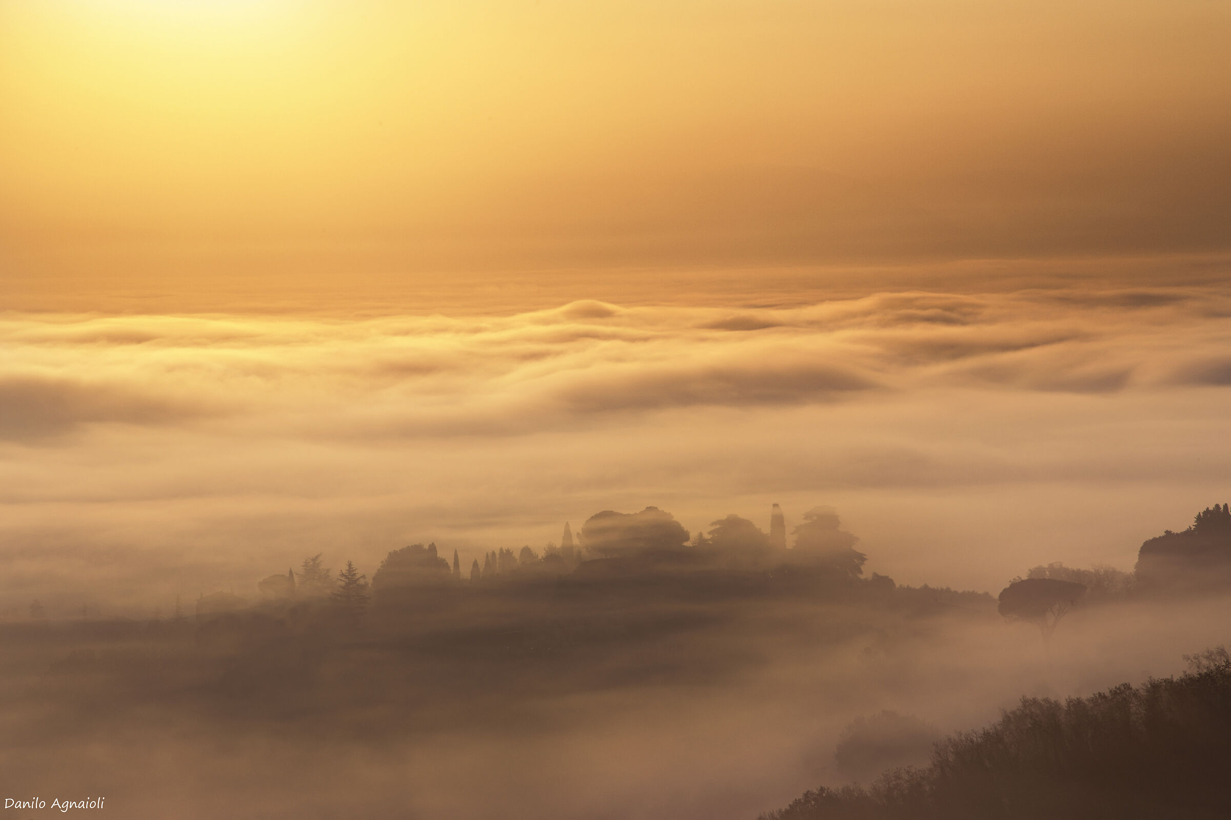 Another fog, another situation