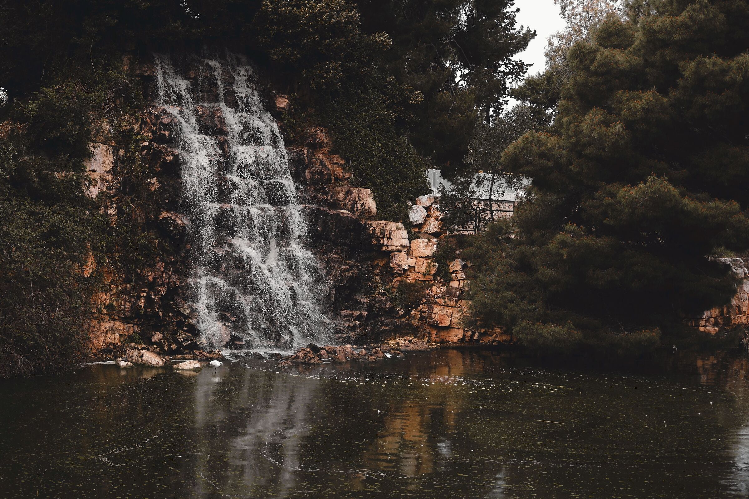 Untitled Photo