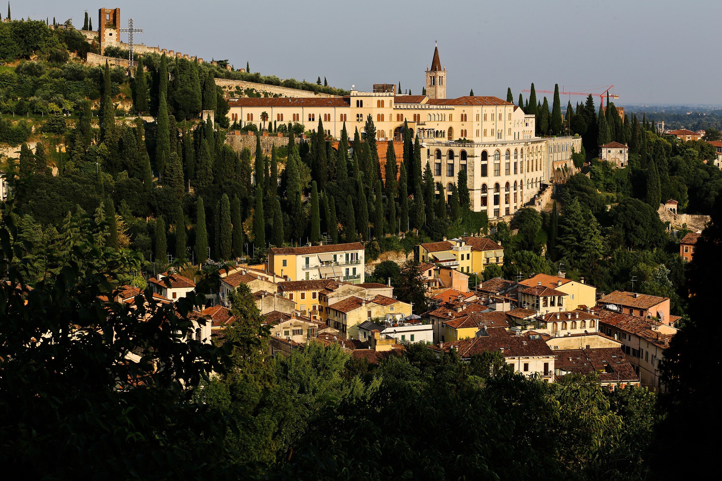 Verona