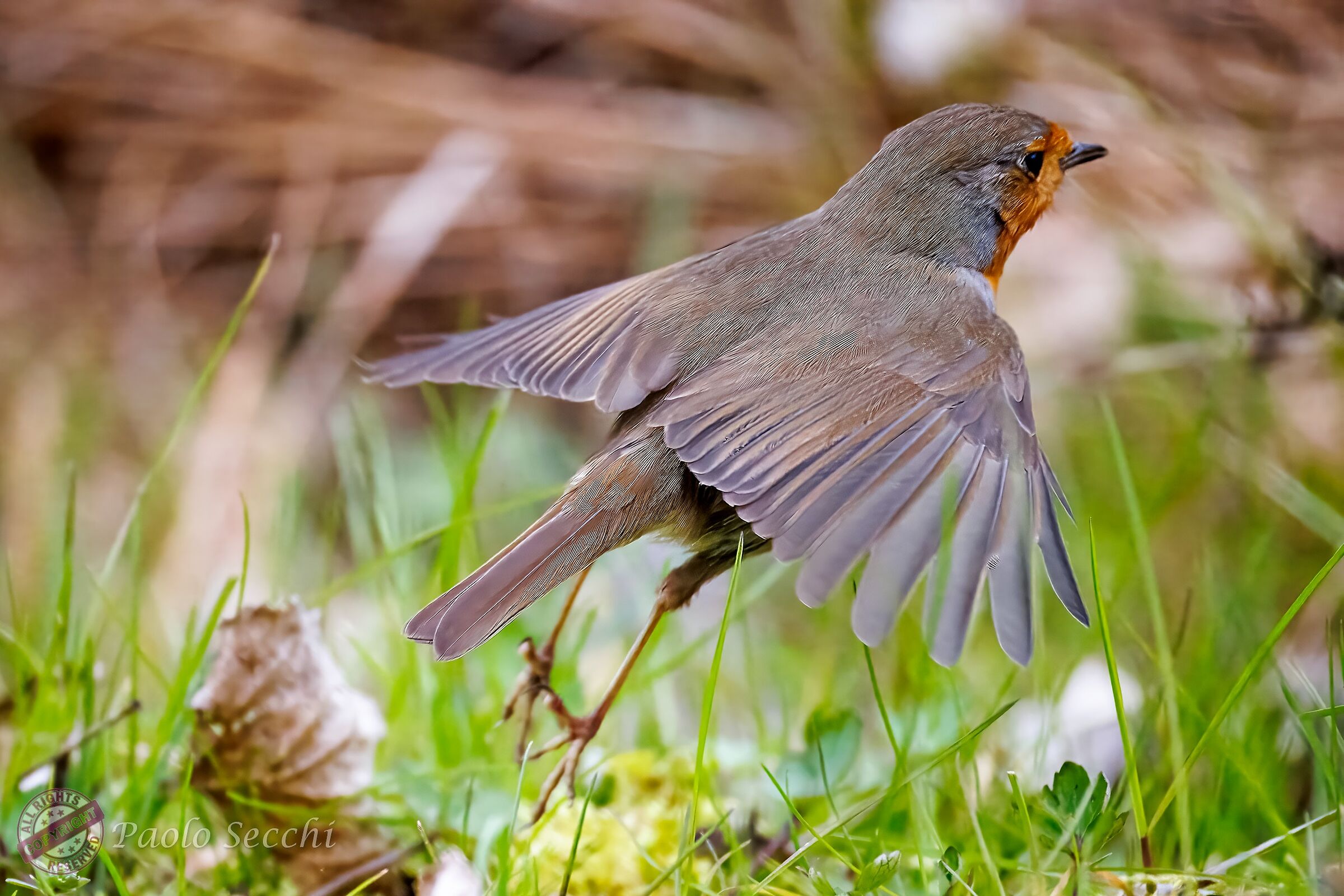 Quick takeoff