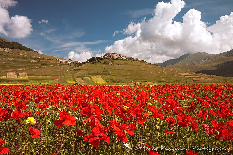 Castelluccio di Norcia