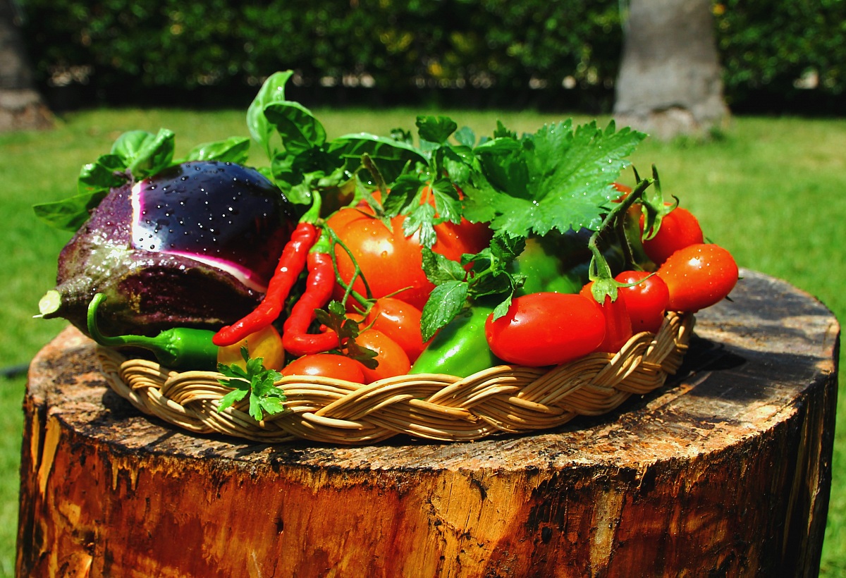 Prodotti dell'orto di mio nonno