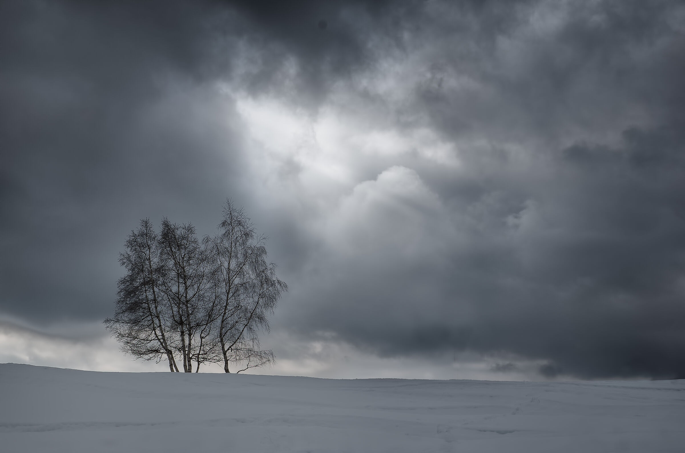 Winter pathos