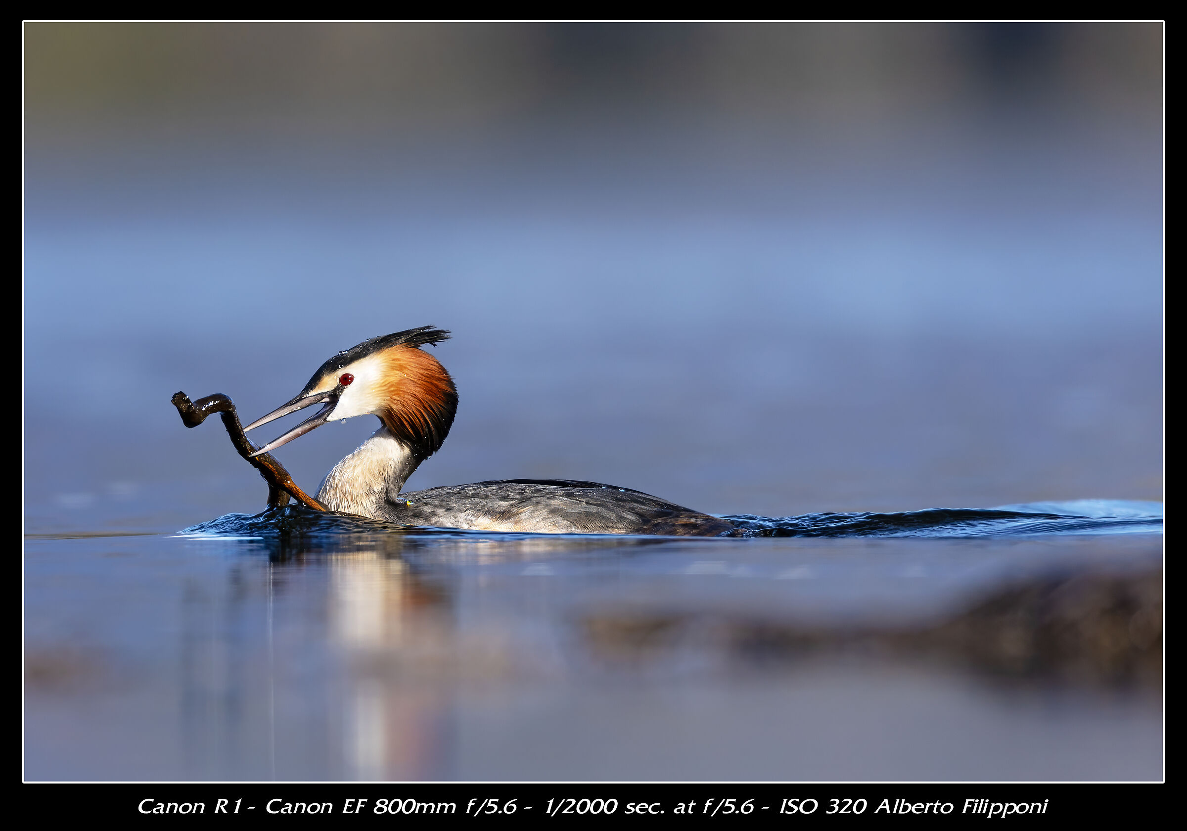 Furnishing your home