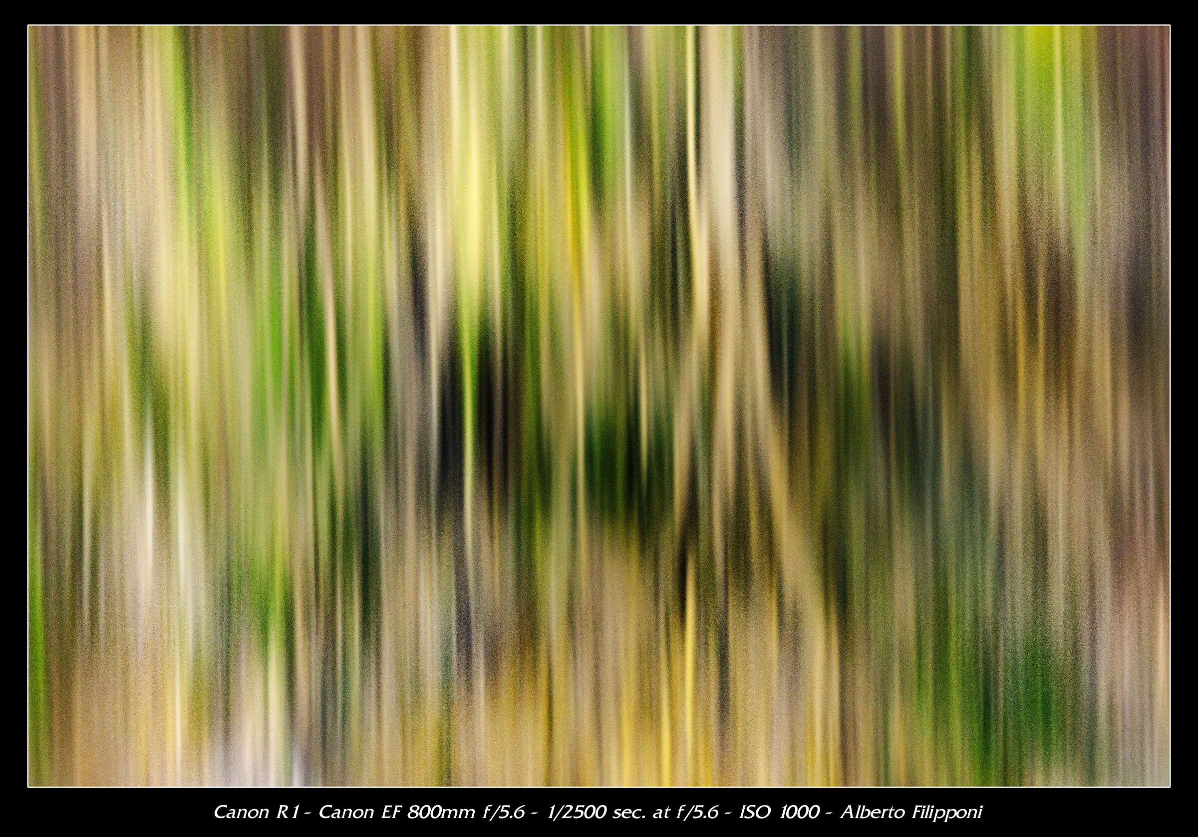 Abstract