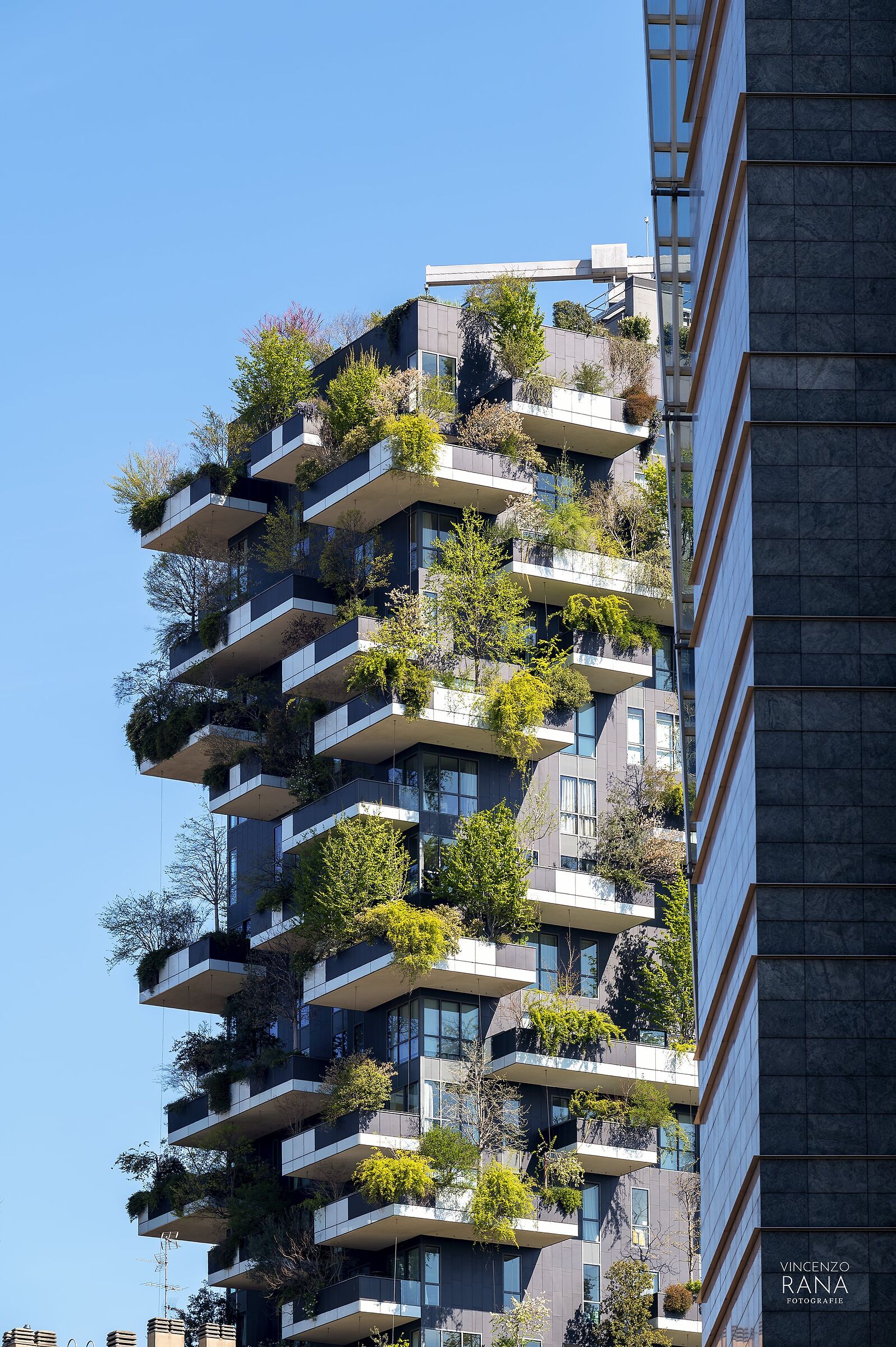 Vertical forest