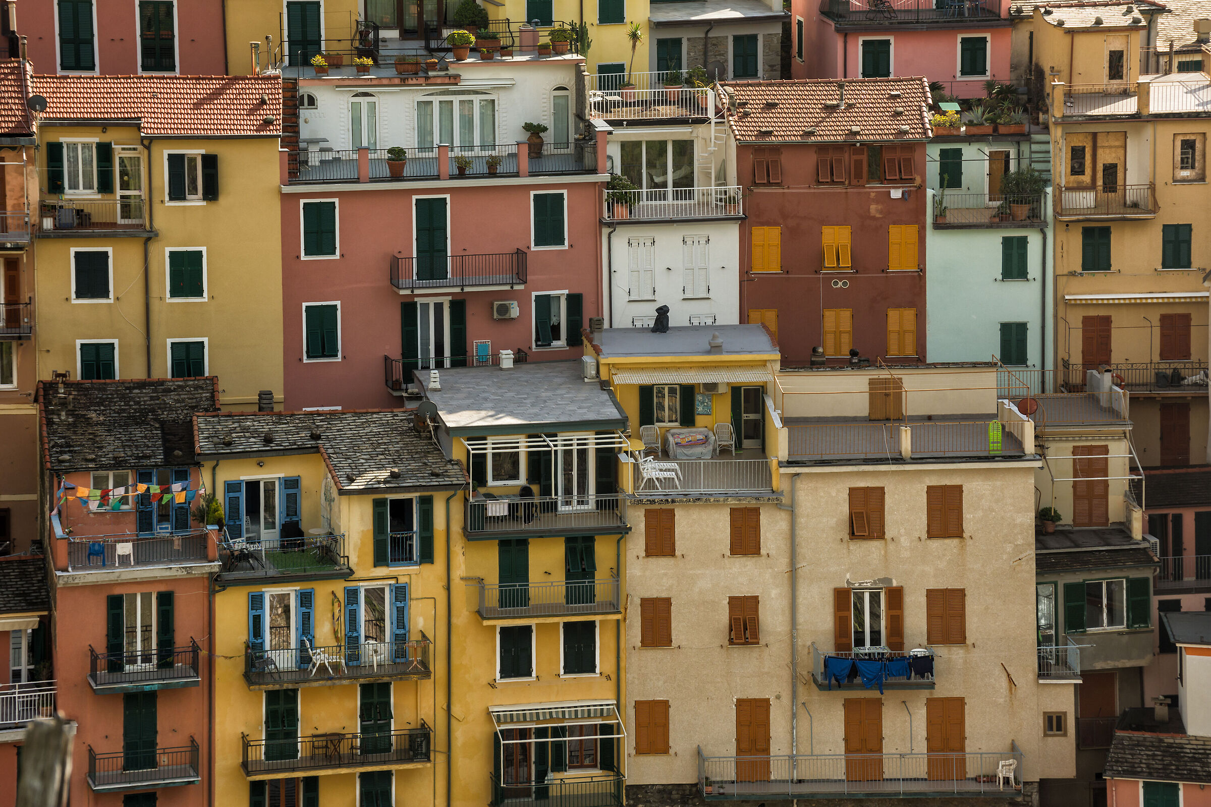The houses of Manarola