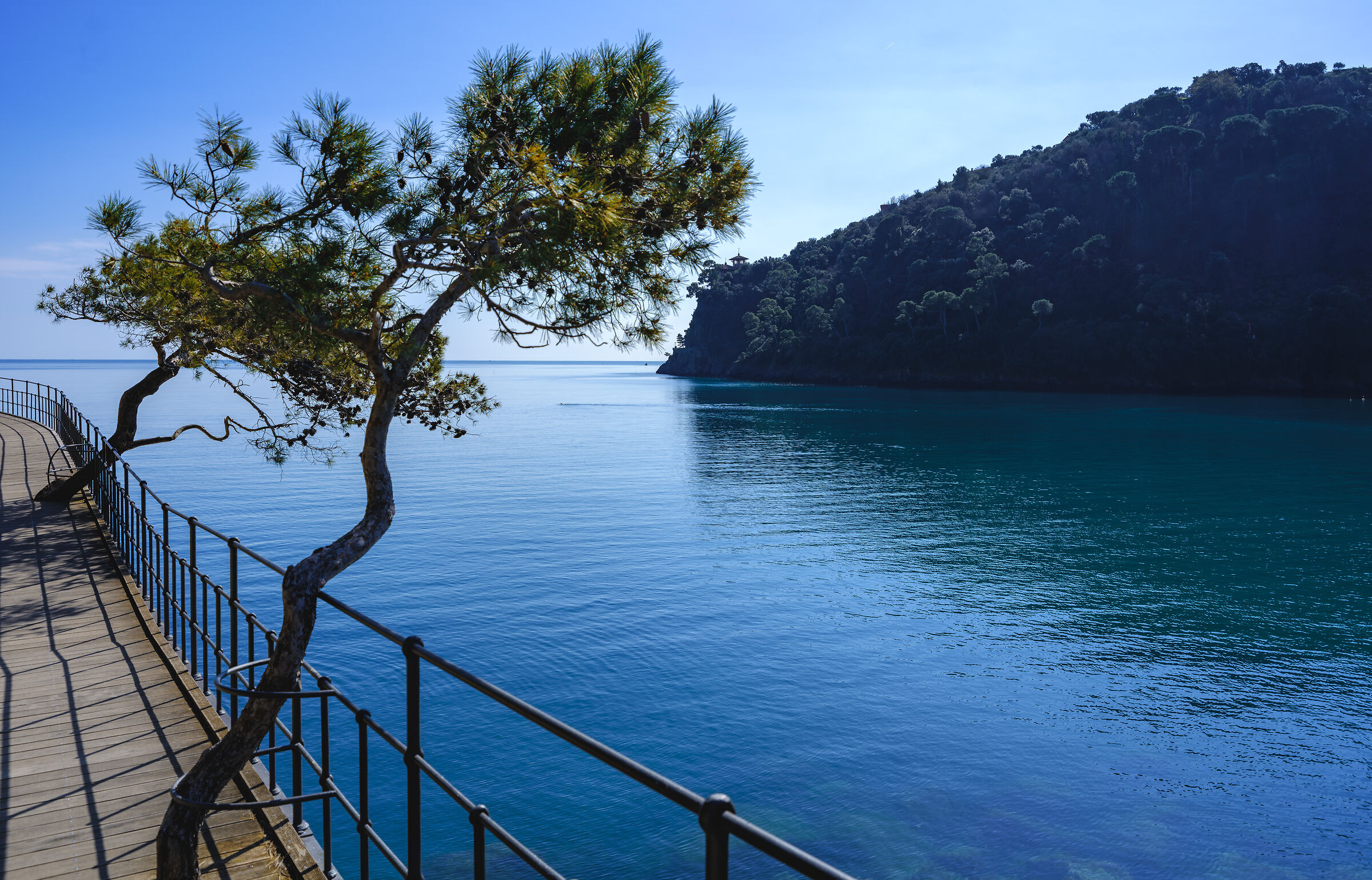 Voglia di mare
