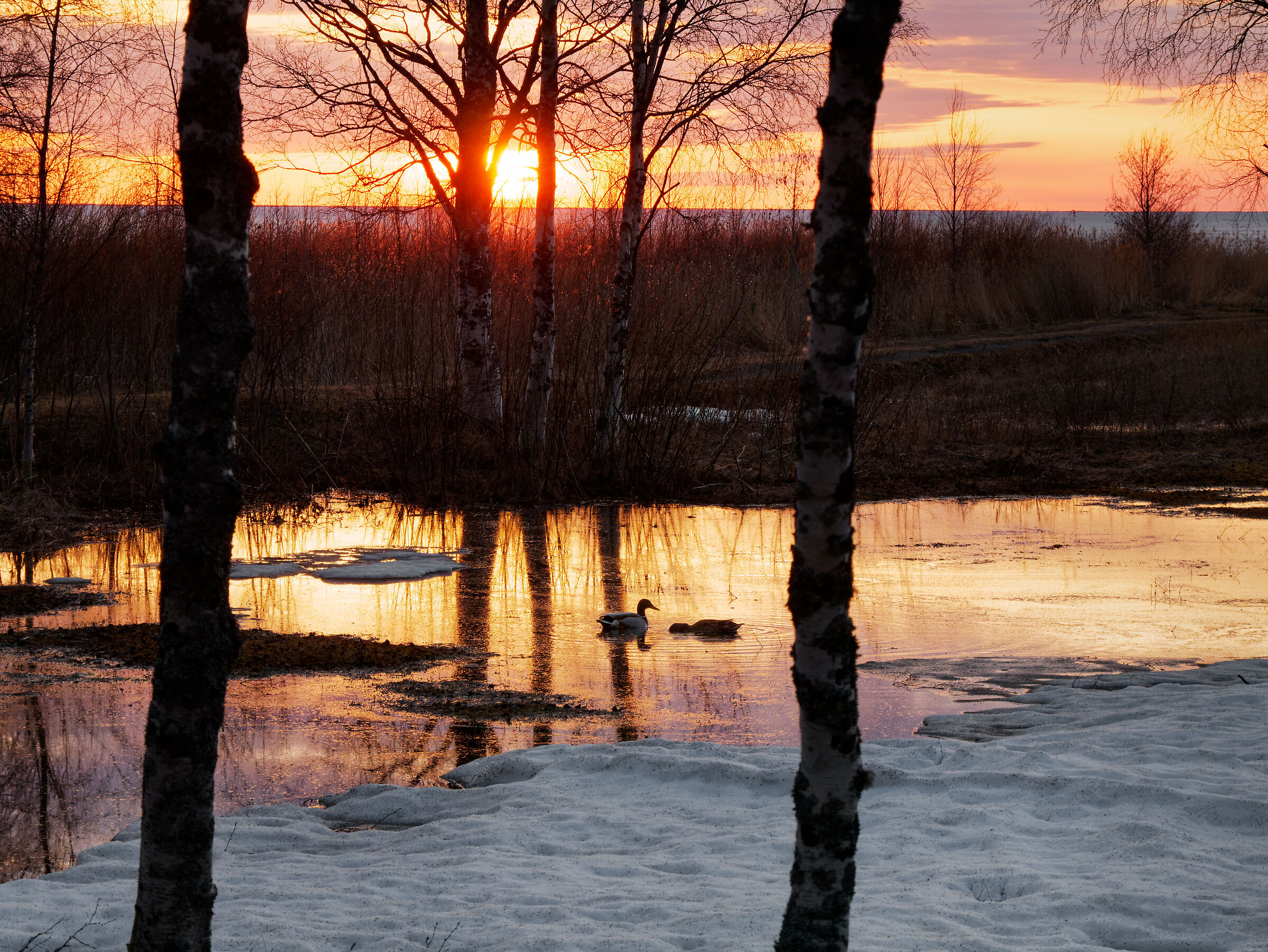 Sunset in Finland