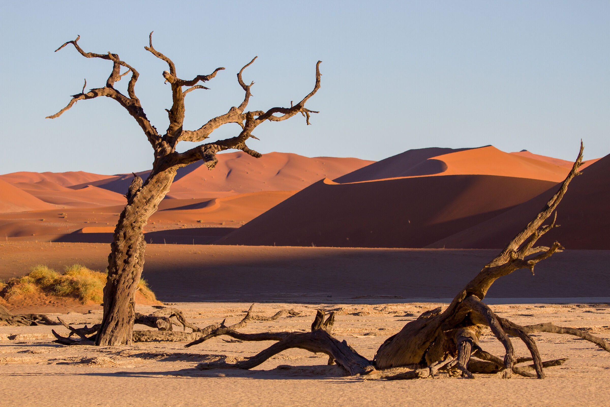 Namibia