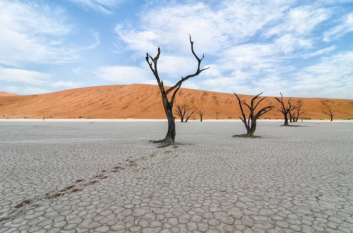 Dead Vlei