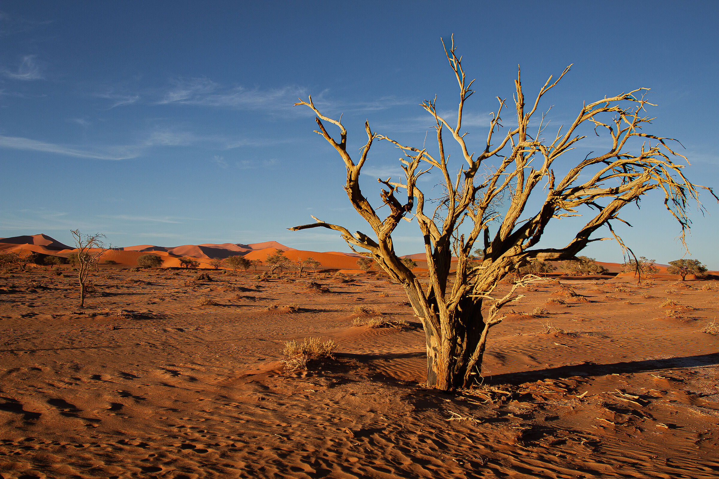 Namibia