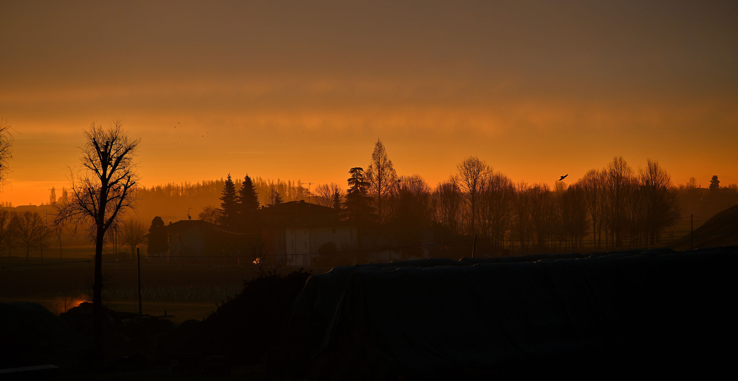 Sunrise from the river bank