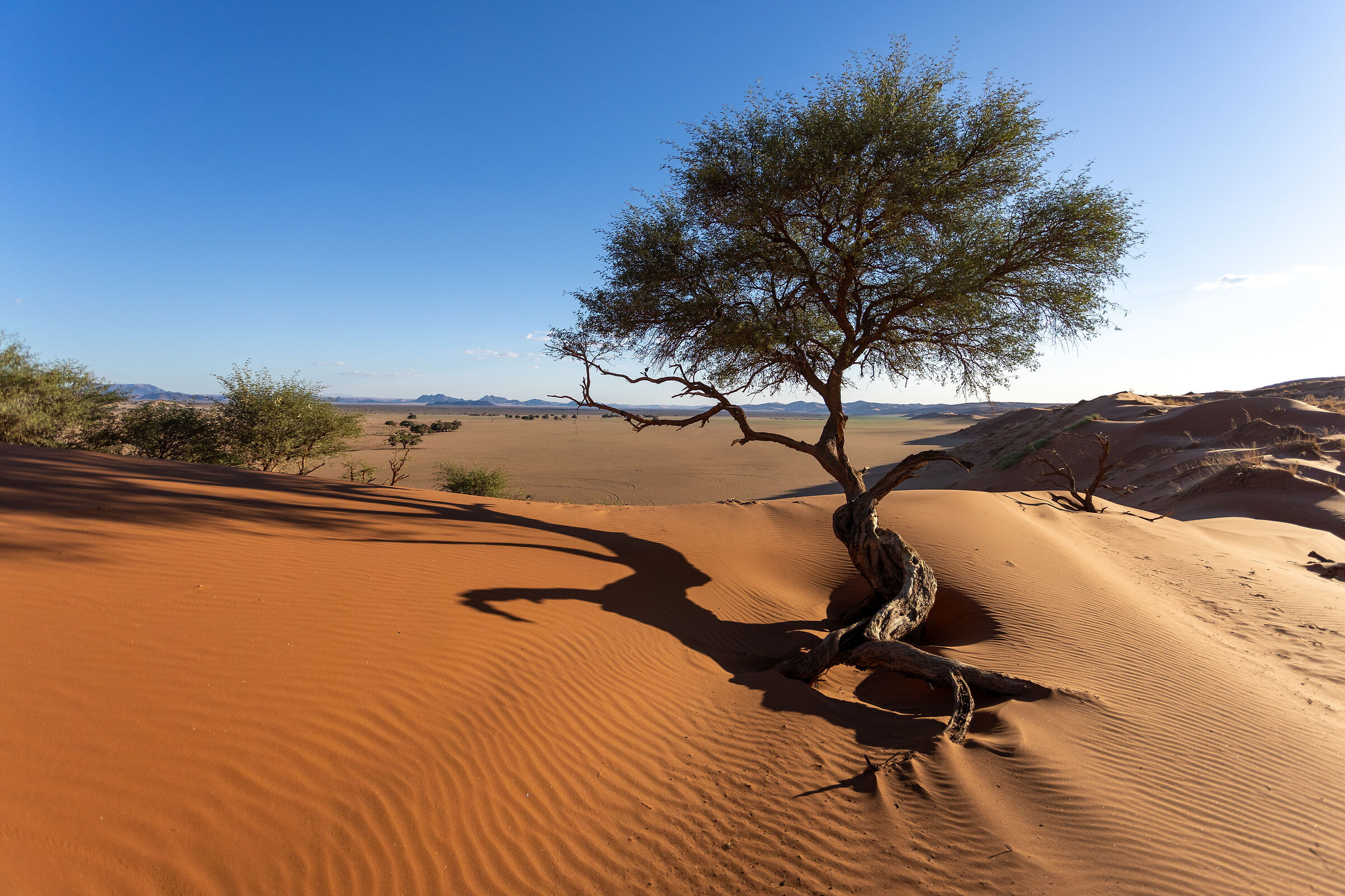 Namibia
