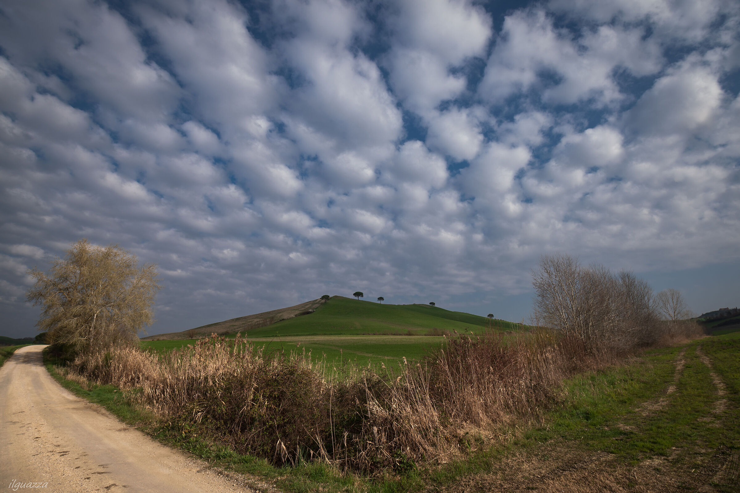 Campagna Senese