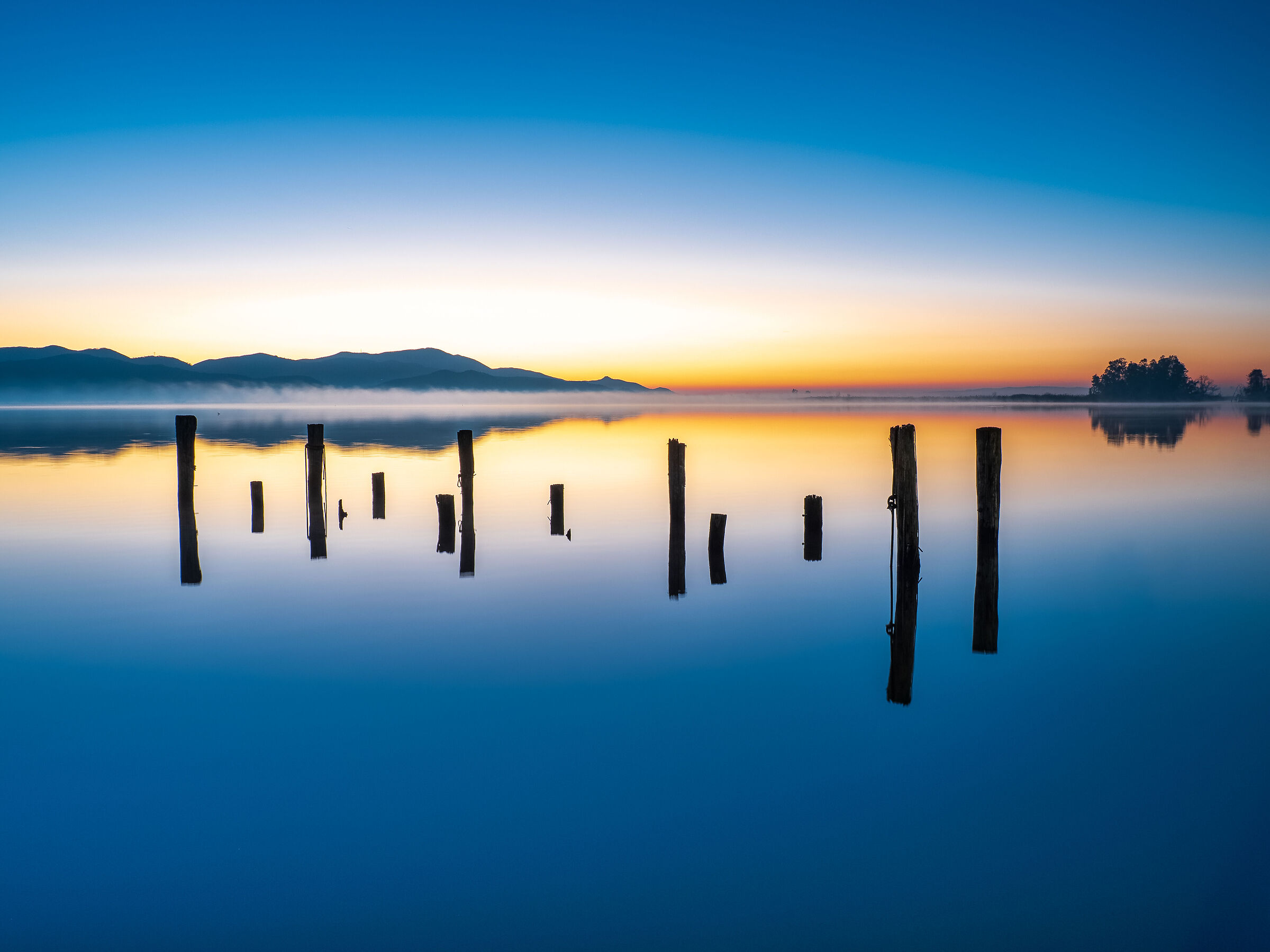 Waiting for the dawn