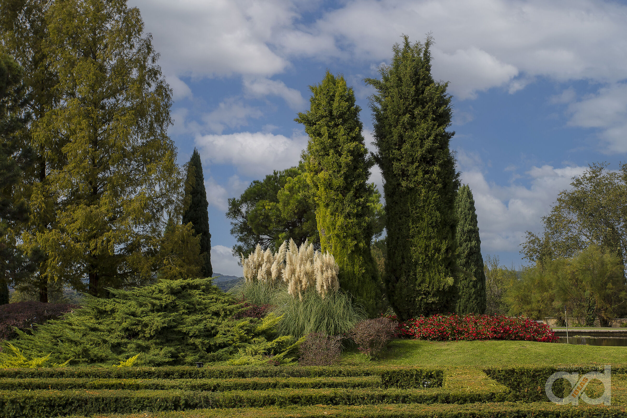 The garden labyrinth
