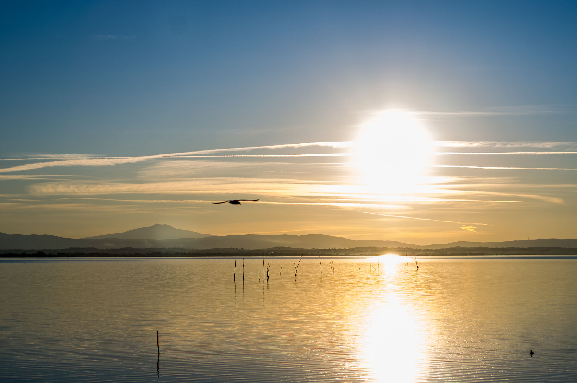 Controsole - Trasimeno