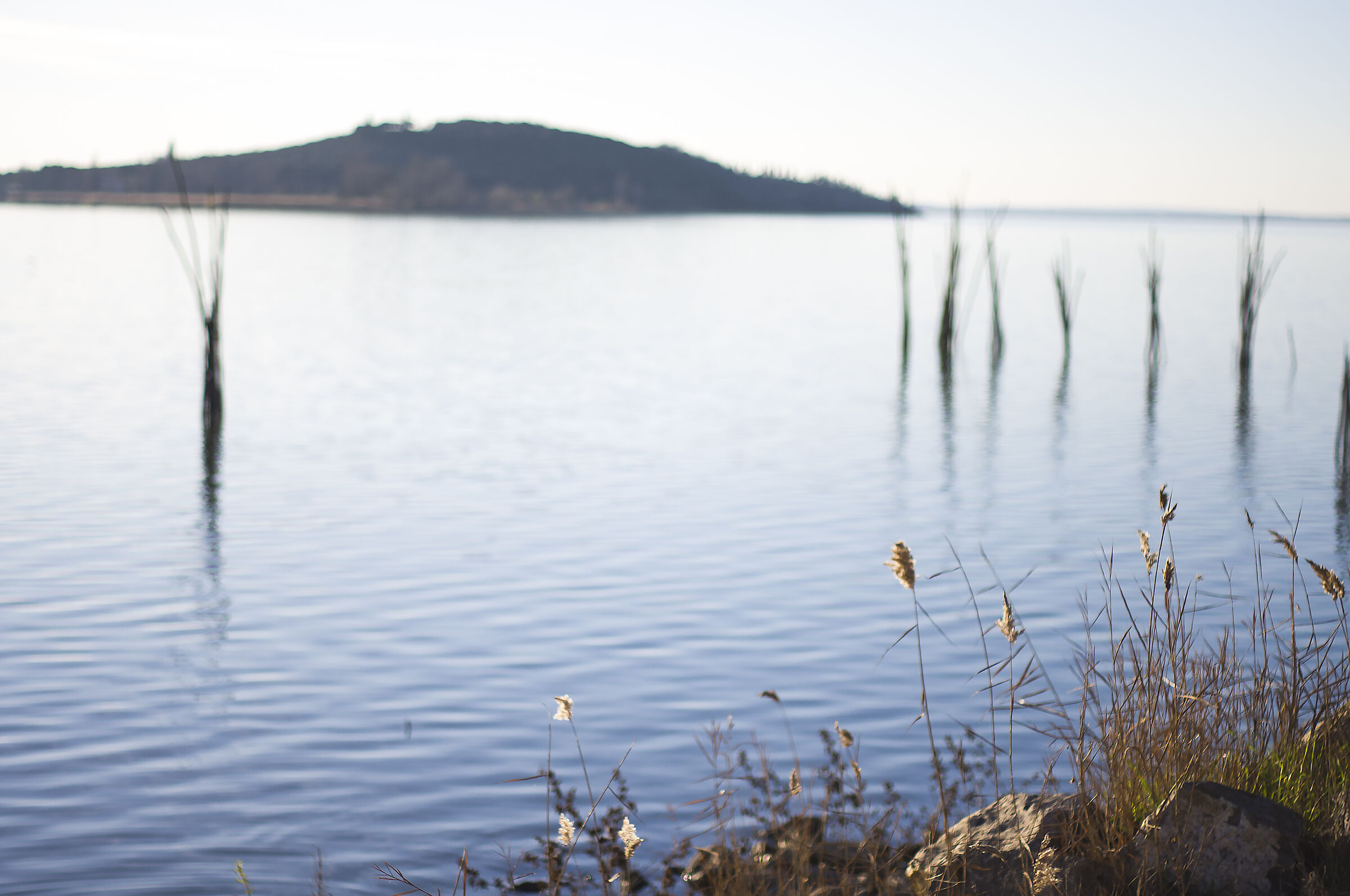 Lake Trasimeno