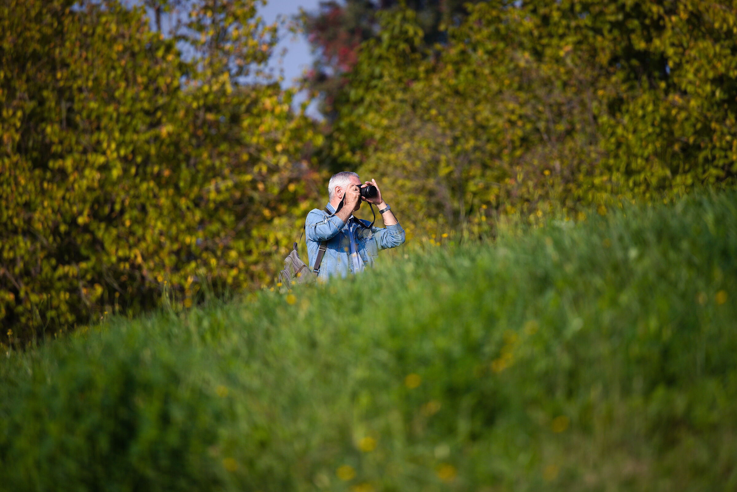 Photographus in action (Marcello)