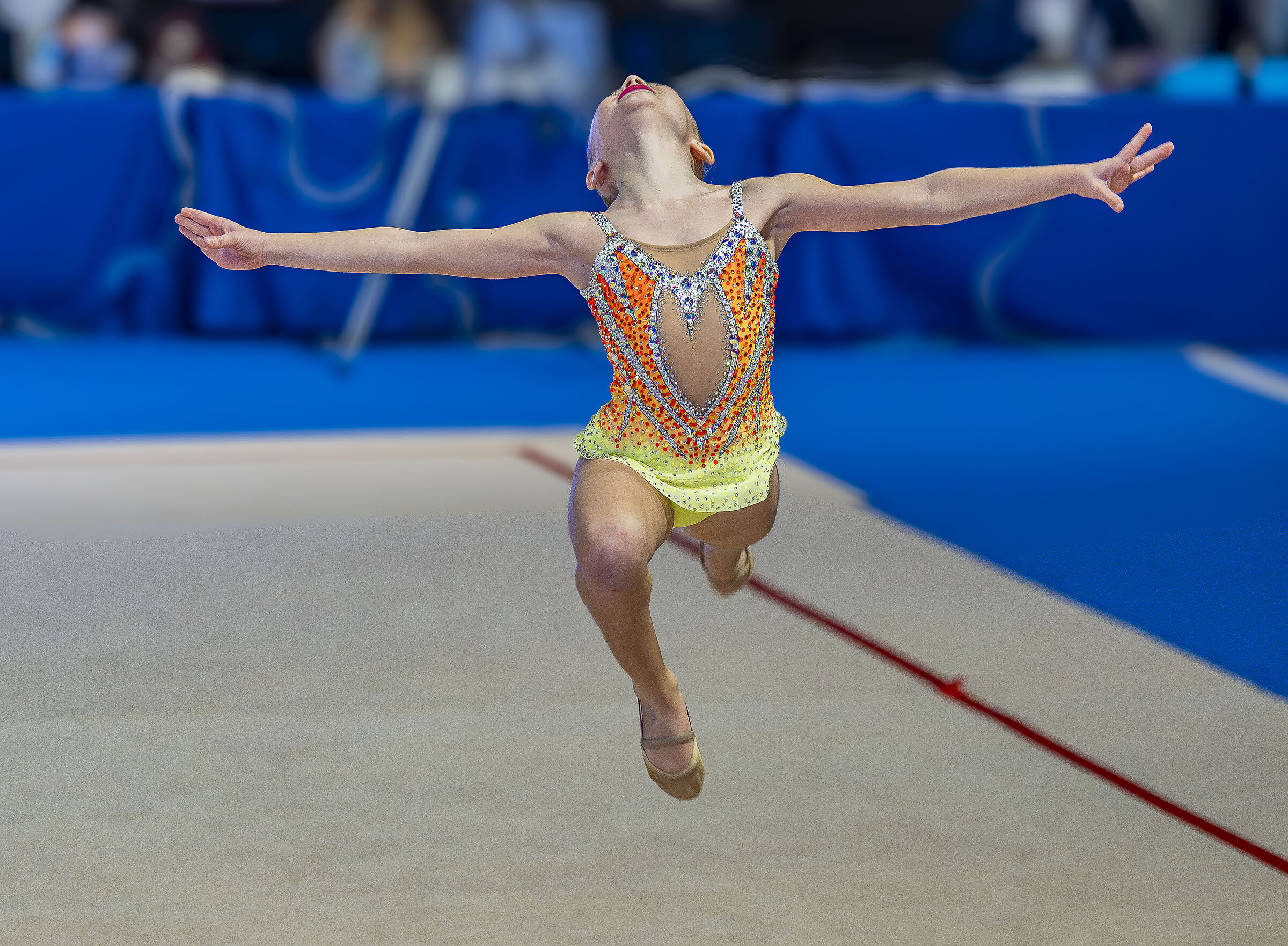 Gymnastic Jumping