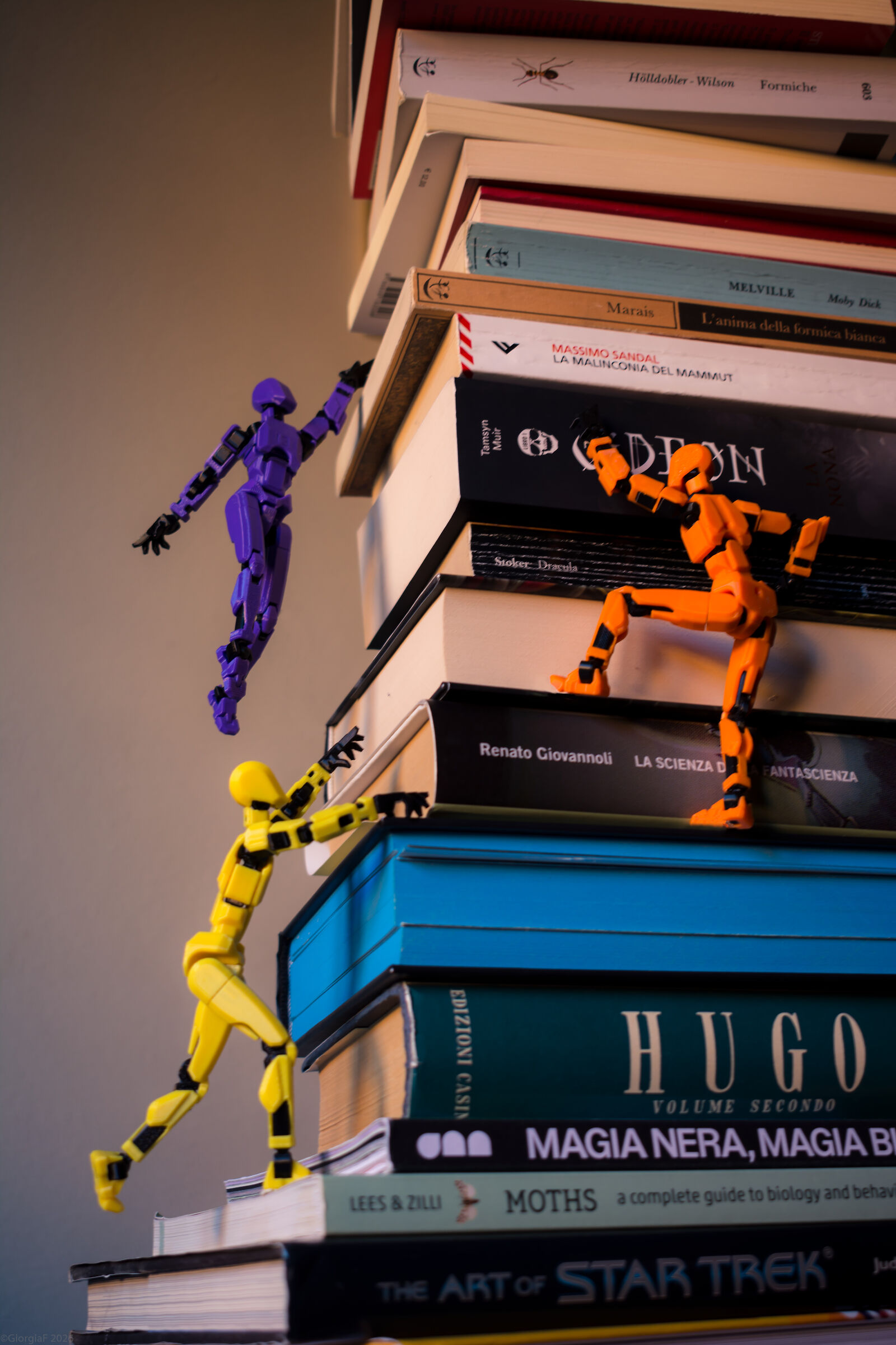 The climb to knowledge!