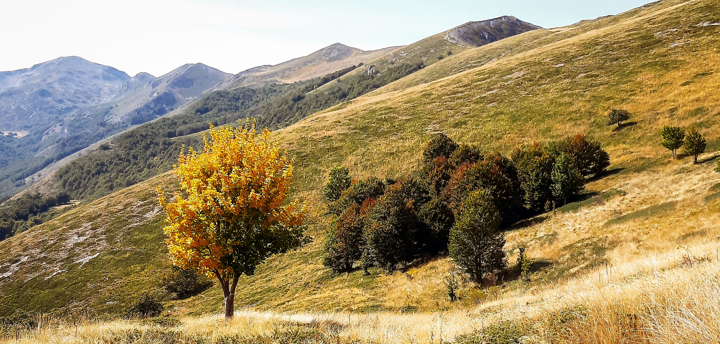 equilibrio d'autunno
