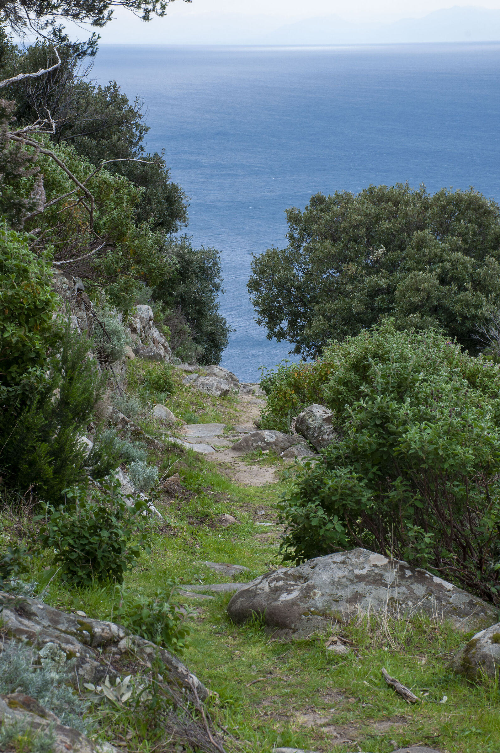 Way to Paradise