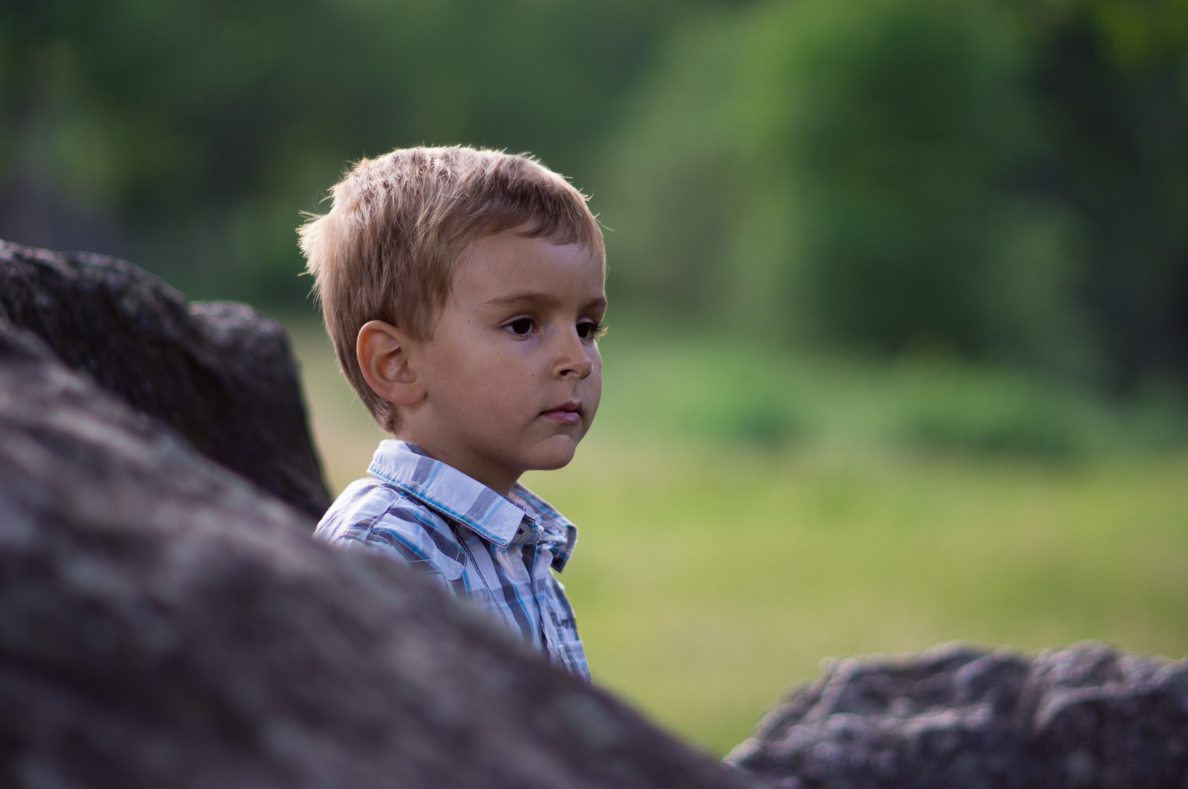 Nex 5n + summilux 75 @1.4