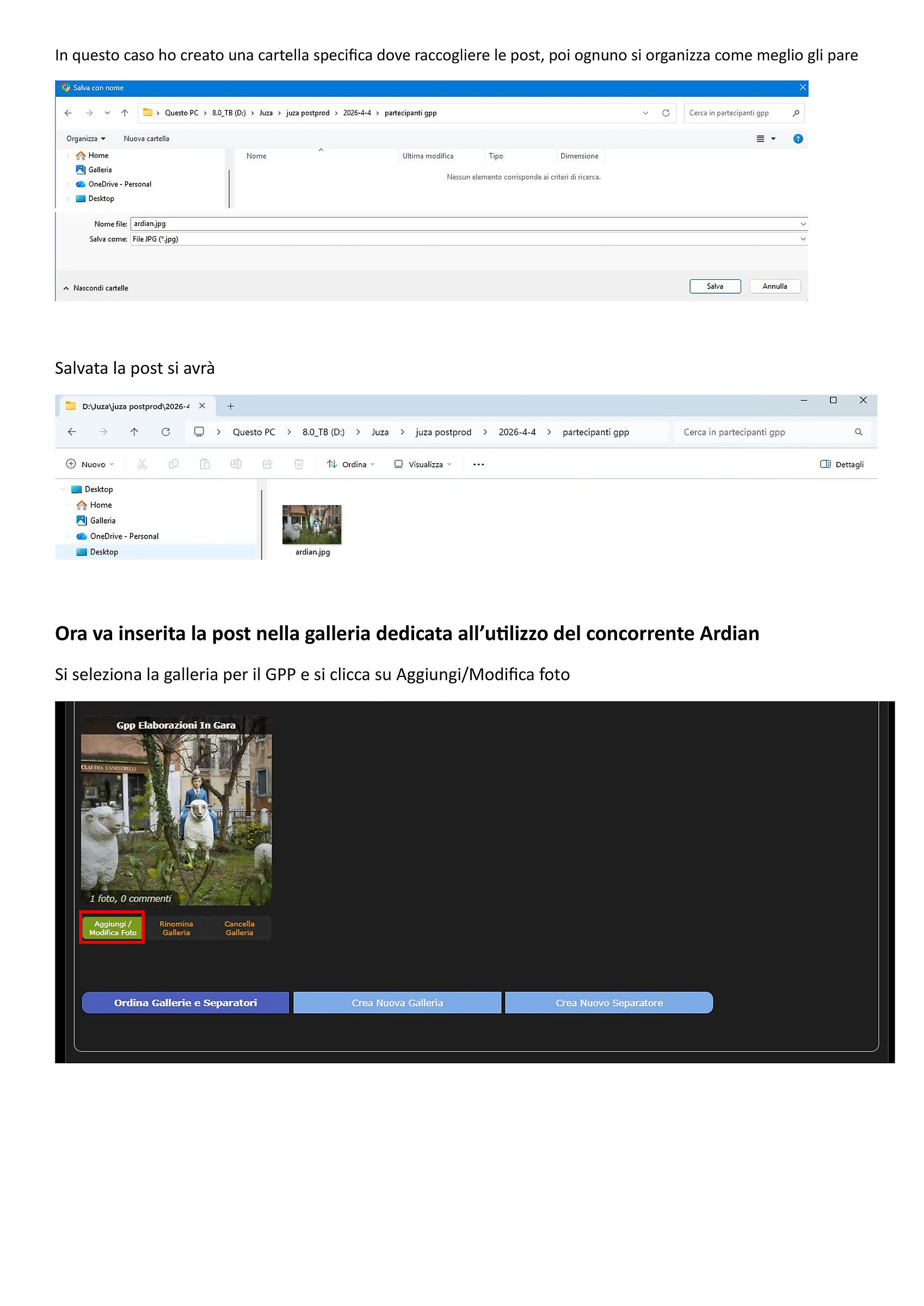 descrizione procedura Giudice GPP 9