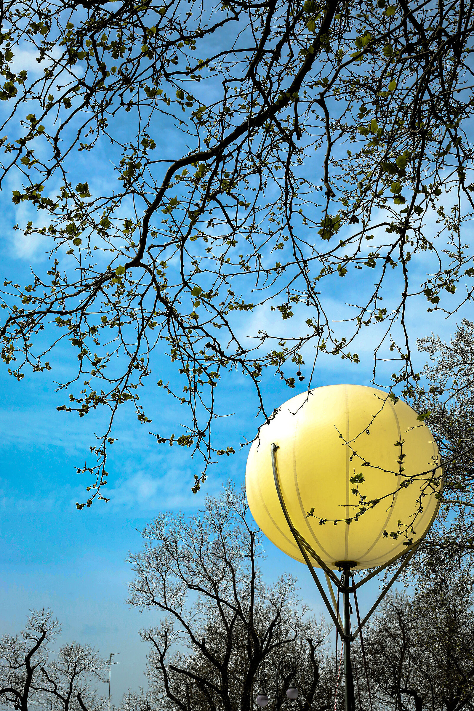 street_reggio Emilia