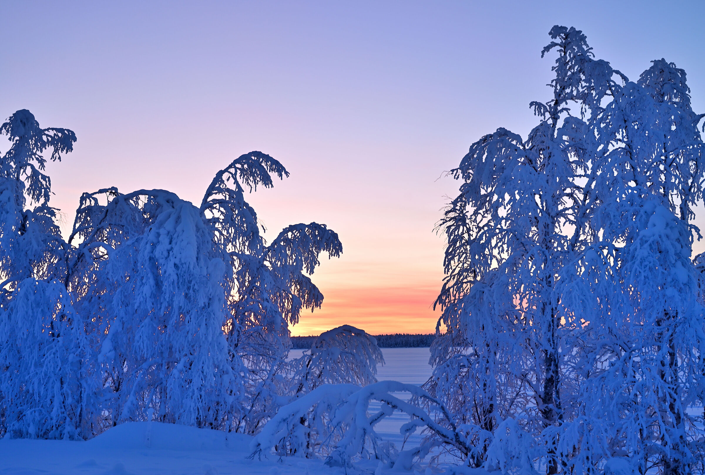 By the icy lake