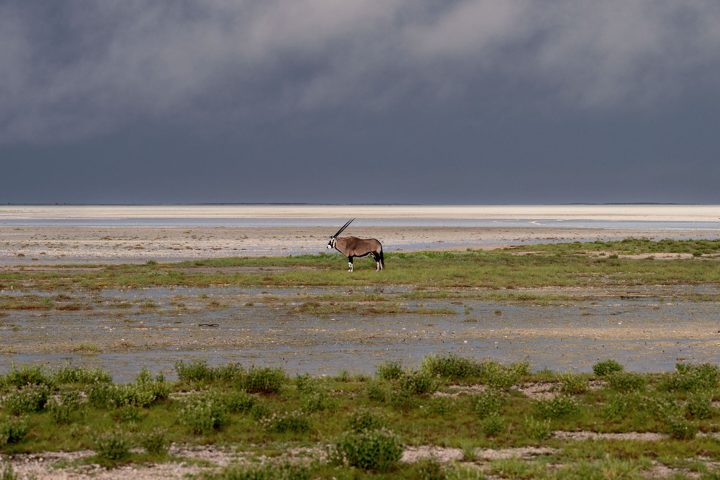 Etosha