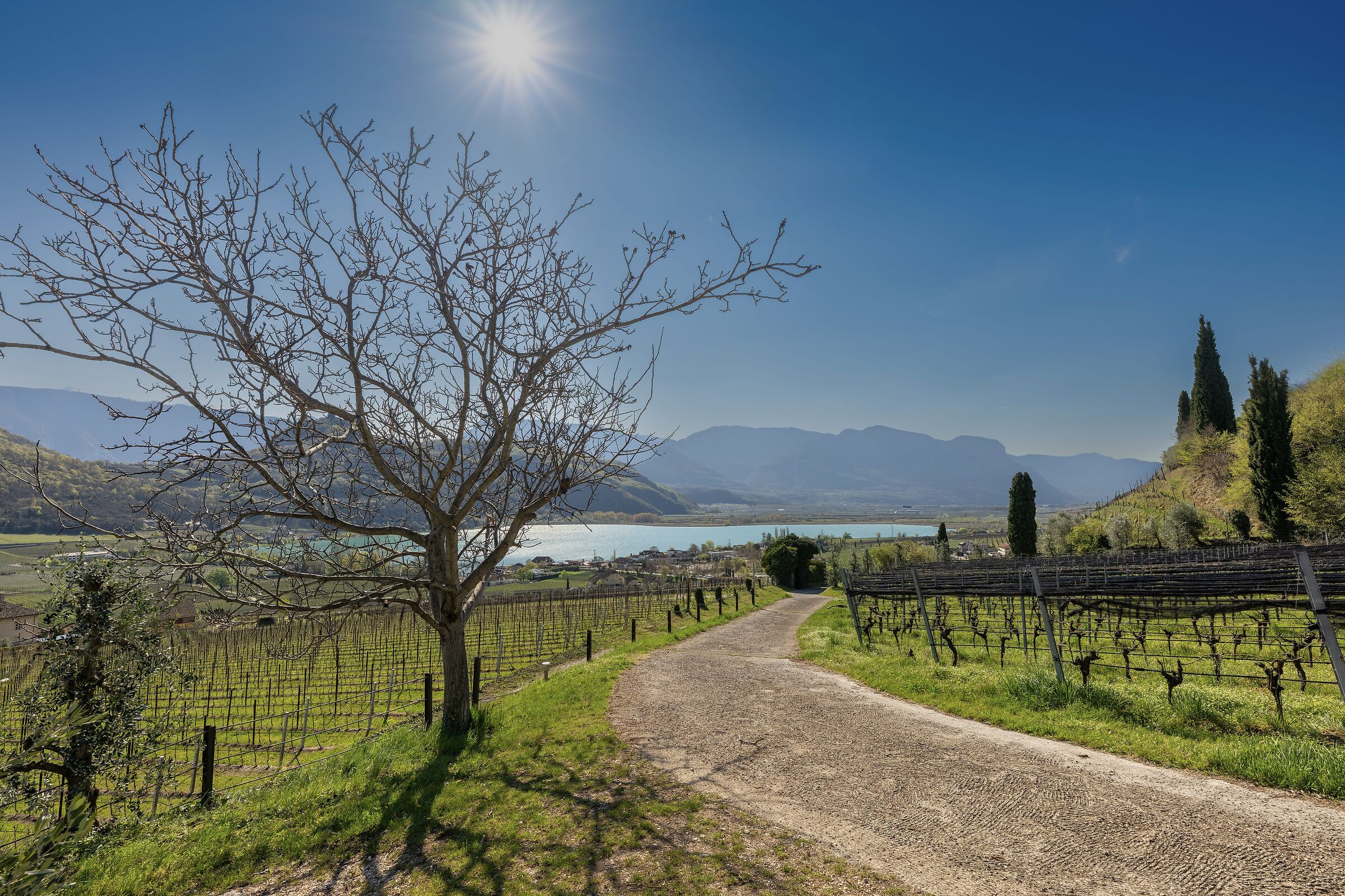 Lago di caldaro