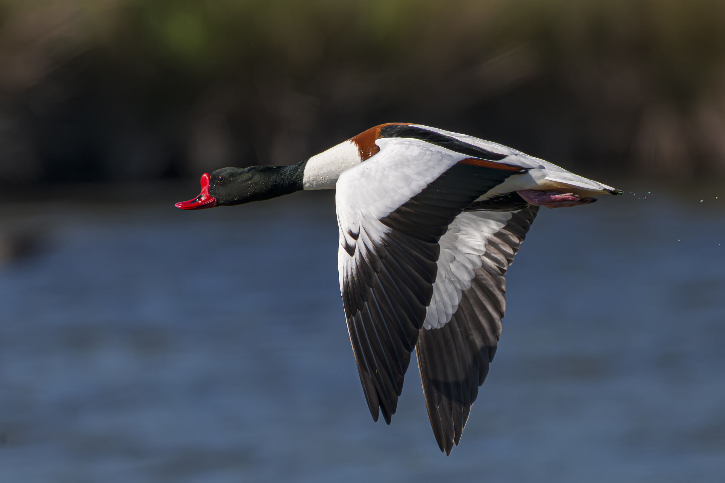 The flight