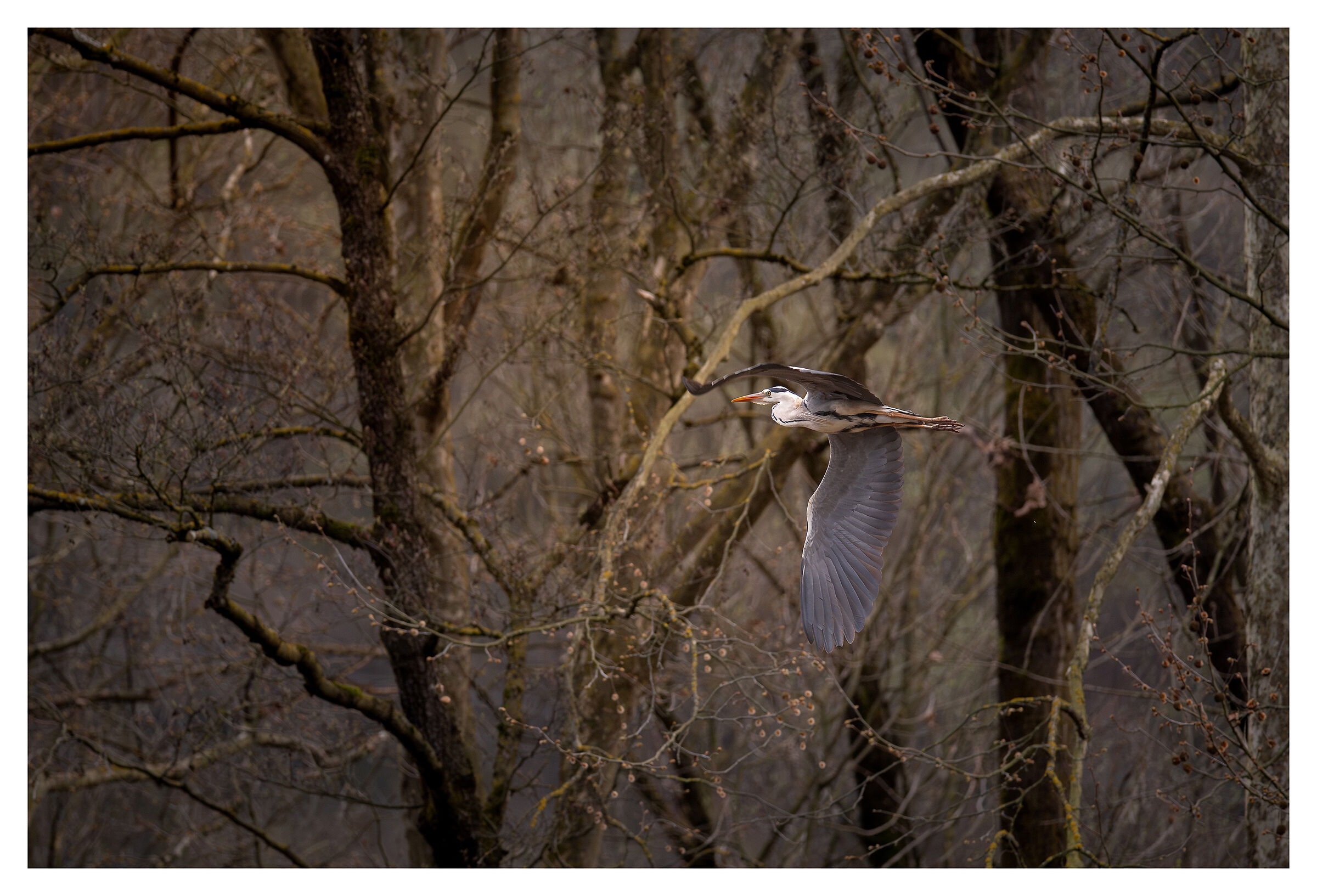 Flight