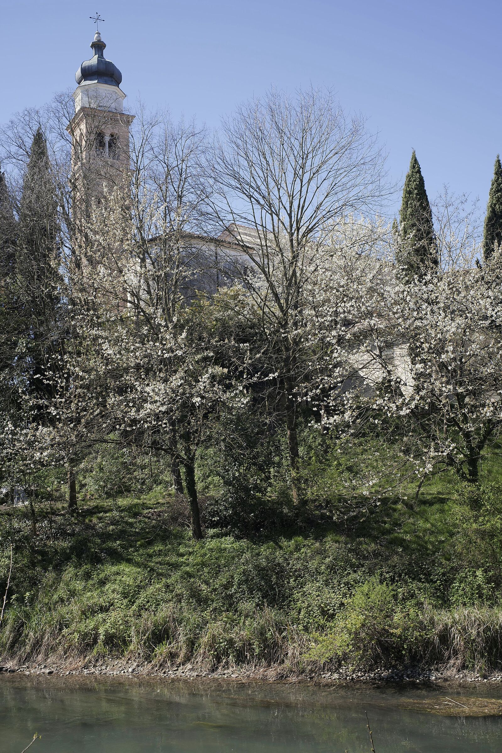 Prova del Contax G Planar 35mm f/2 su Lumix S5