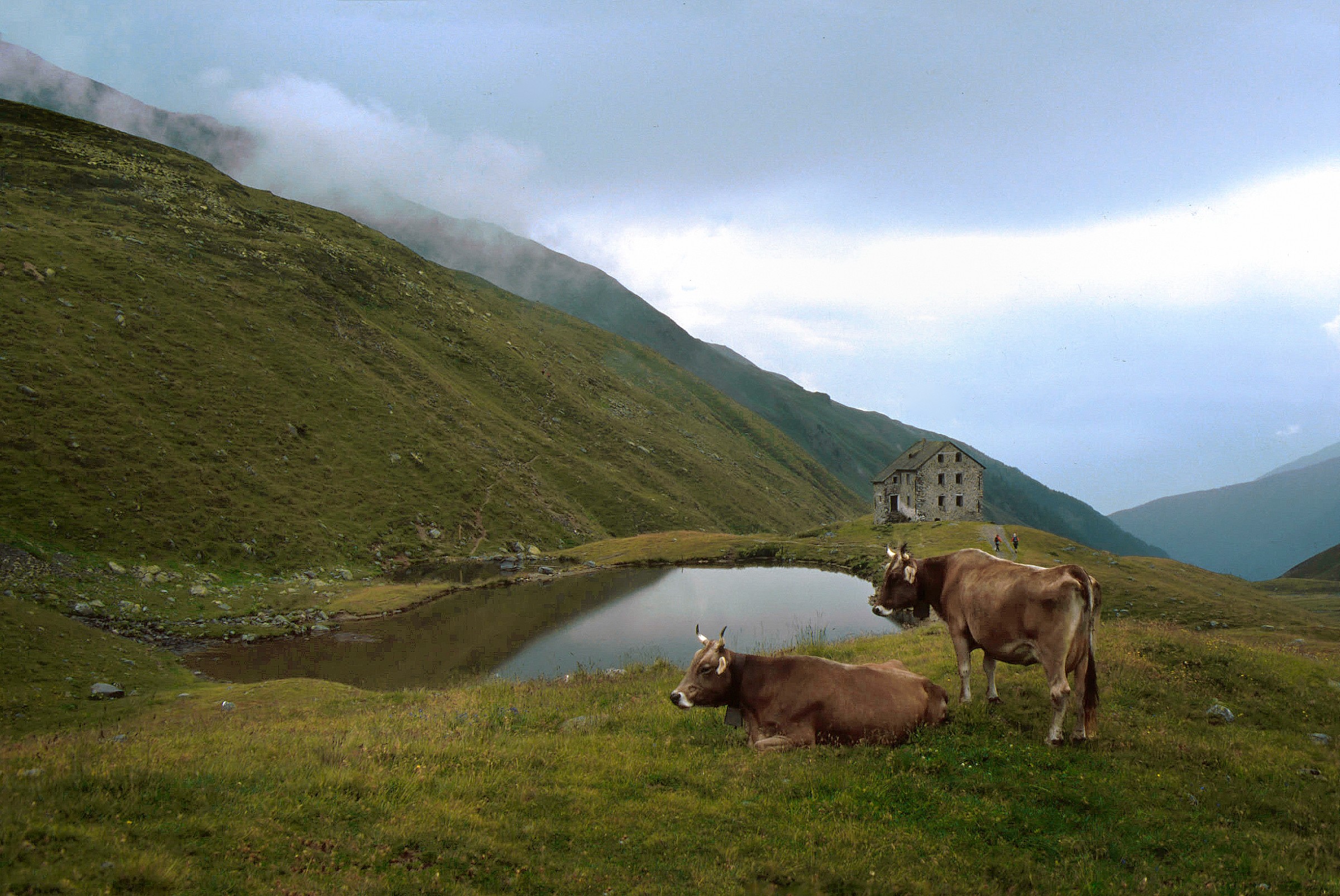 Passo di Slingia - Alto Adige/Svizzera - 1995