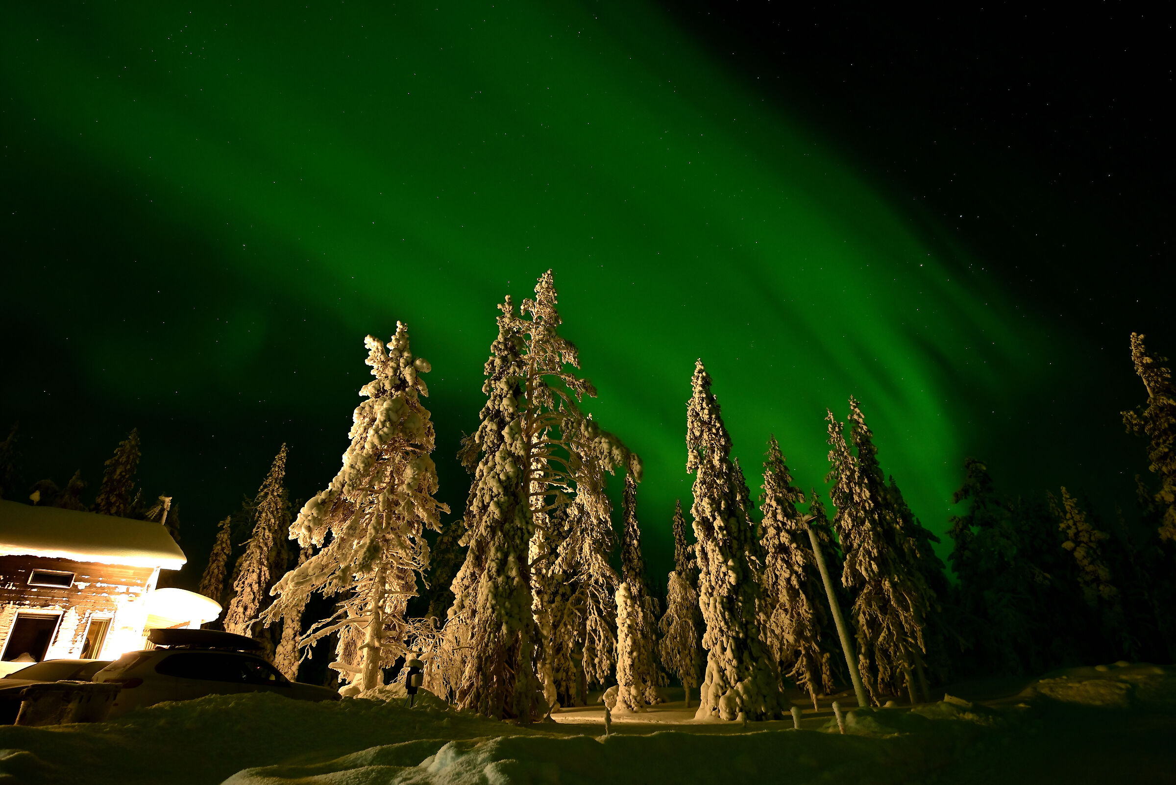Aurora