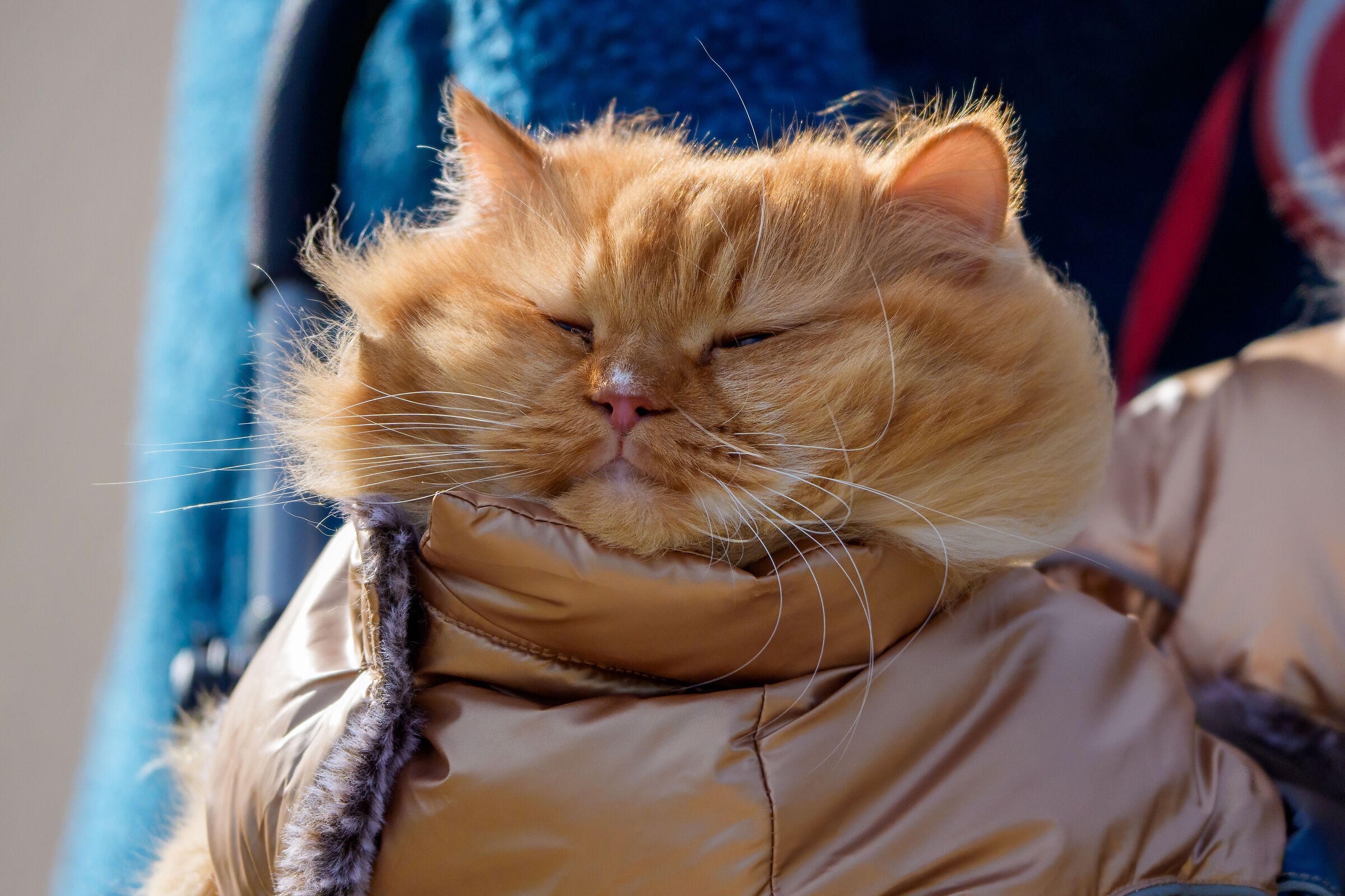 This morning he pulls a dick and I get cold!!