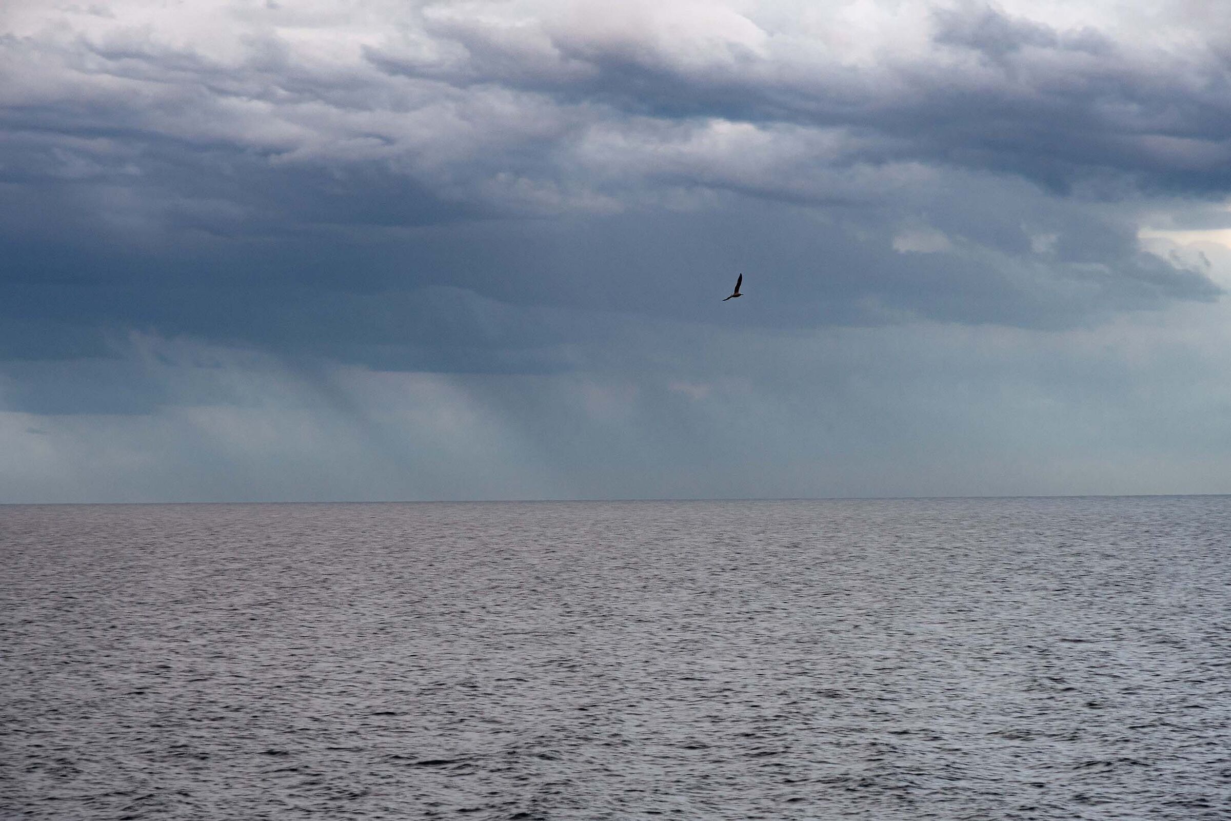 The Flight