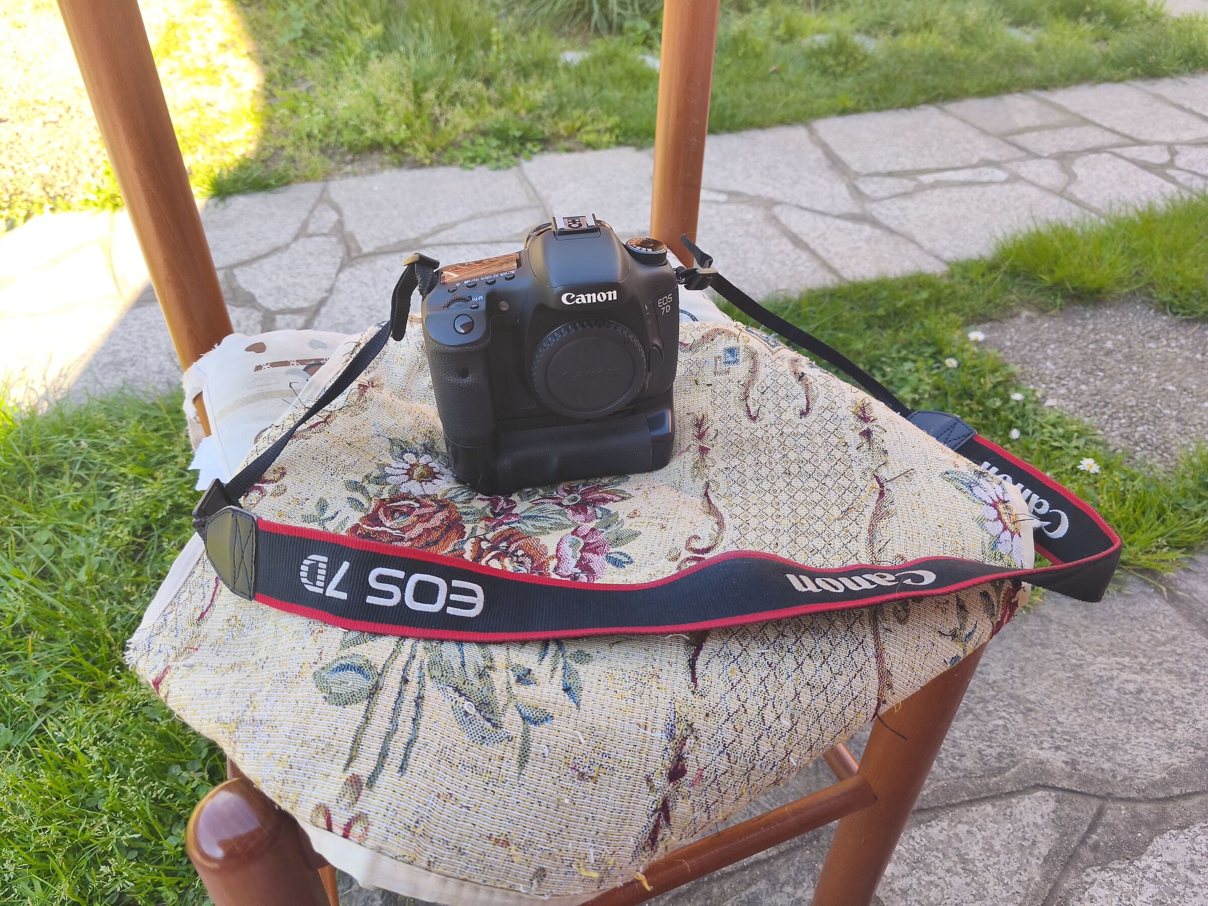 My faithful companion