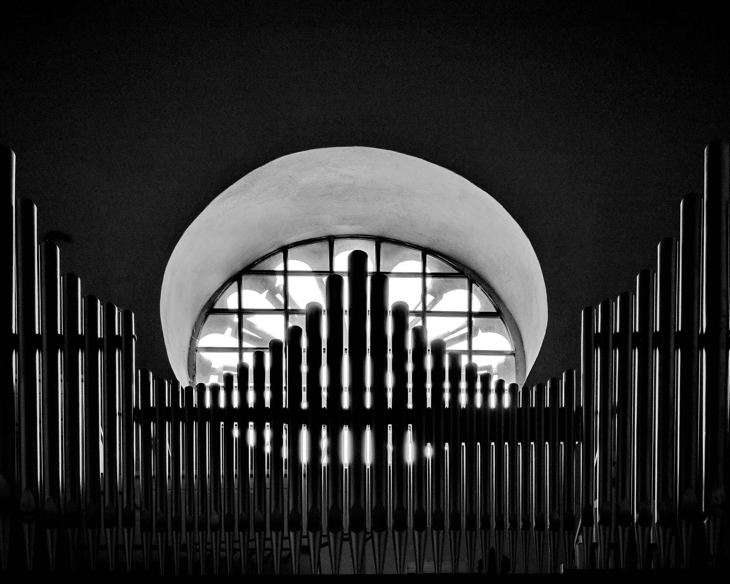 organ