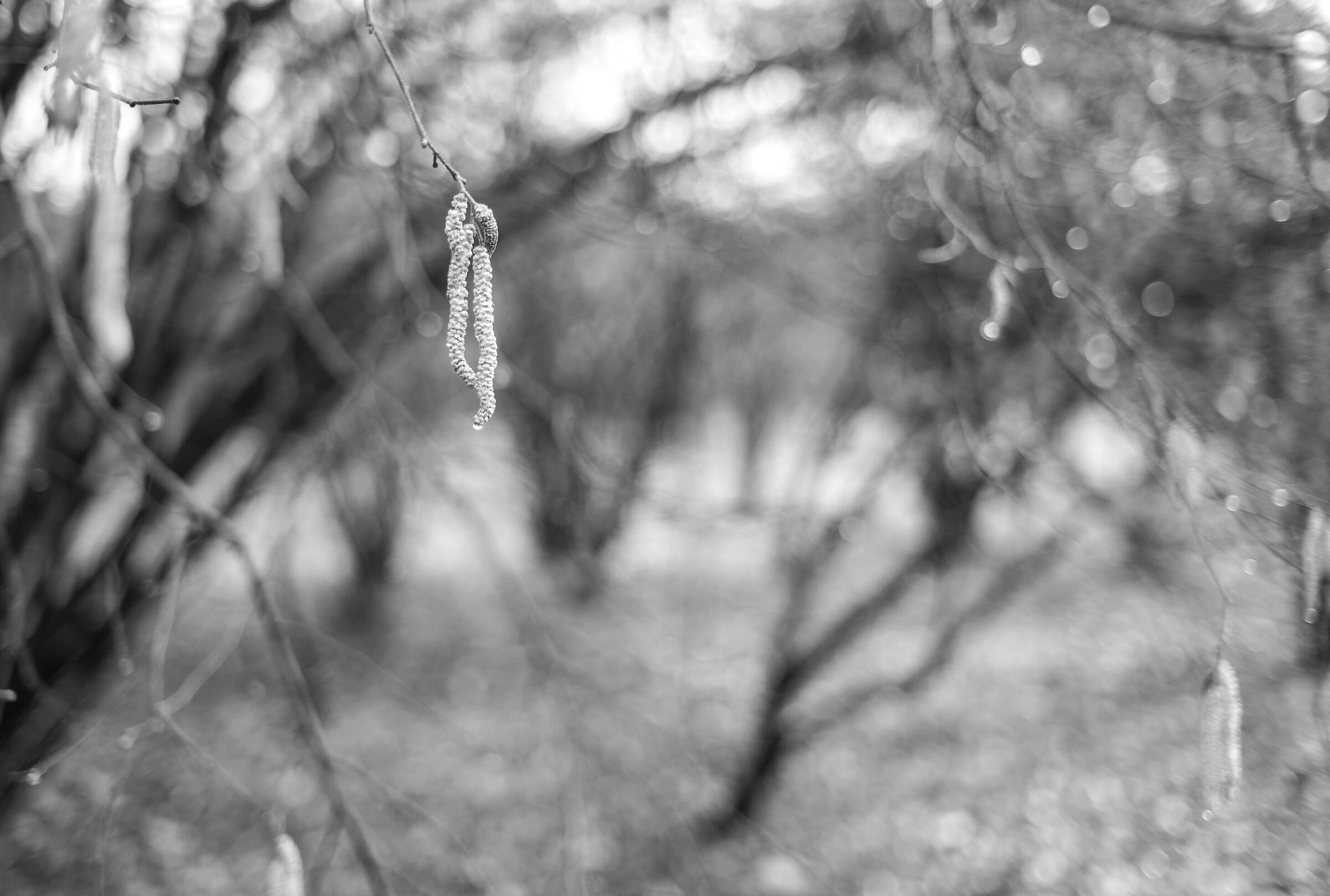 Untitled Photo