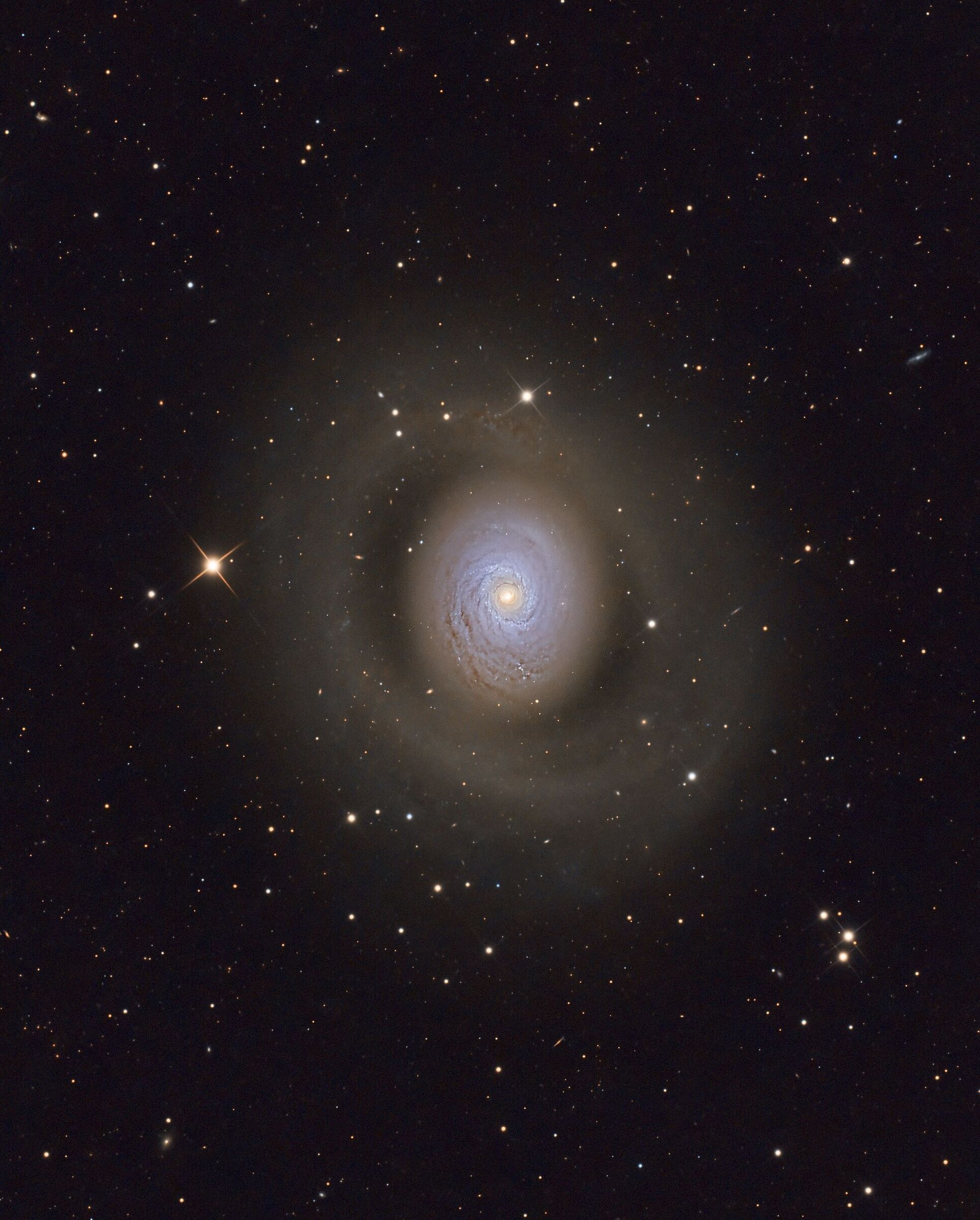 M 94